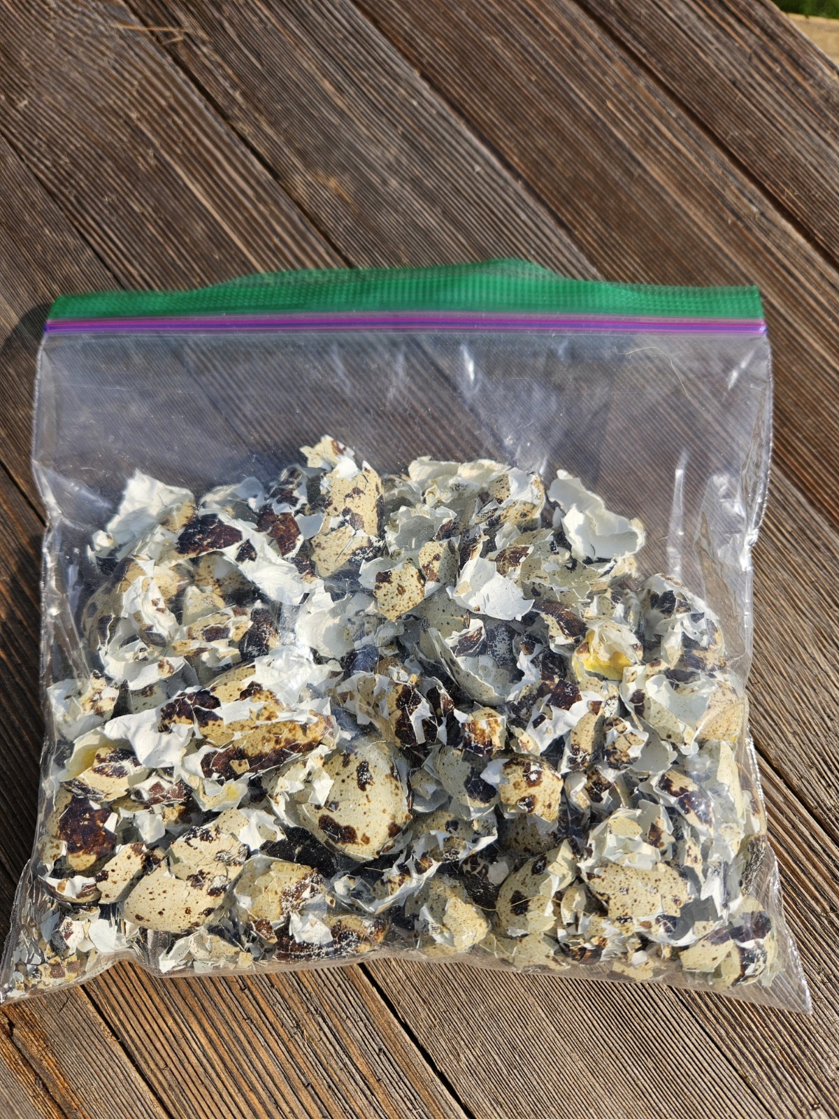 Hand Crushed Kansas Farm Quail Egg Shells – 3 Ounce Bag. Calcium Carbonate