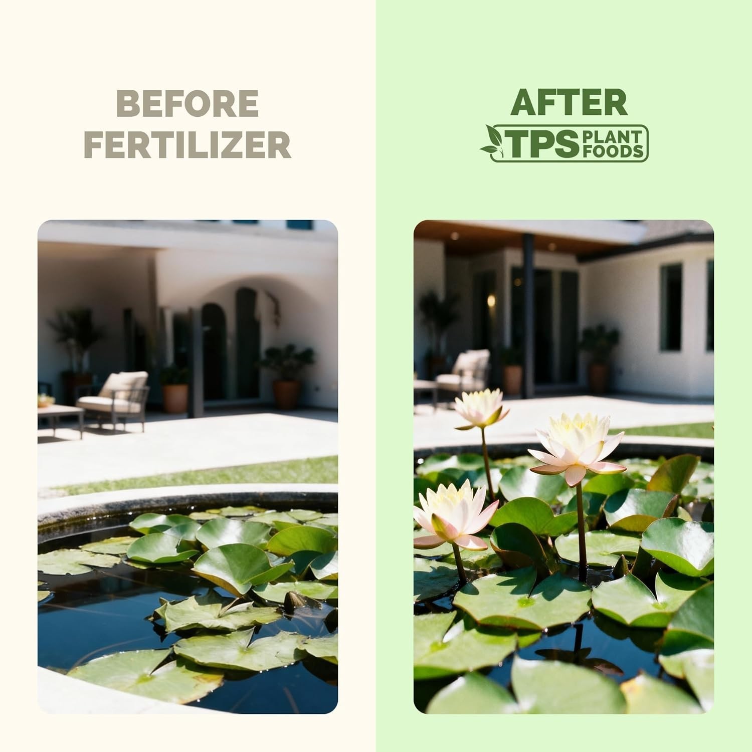 Lotus Fertilizer – 8 oz of Fish Safe Liquid for Stronger Roots & Vibrant Blooms
