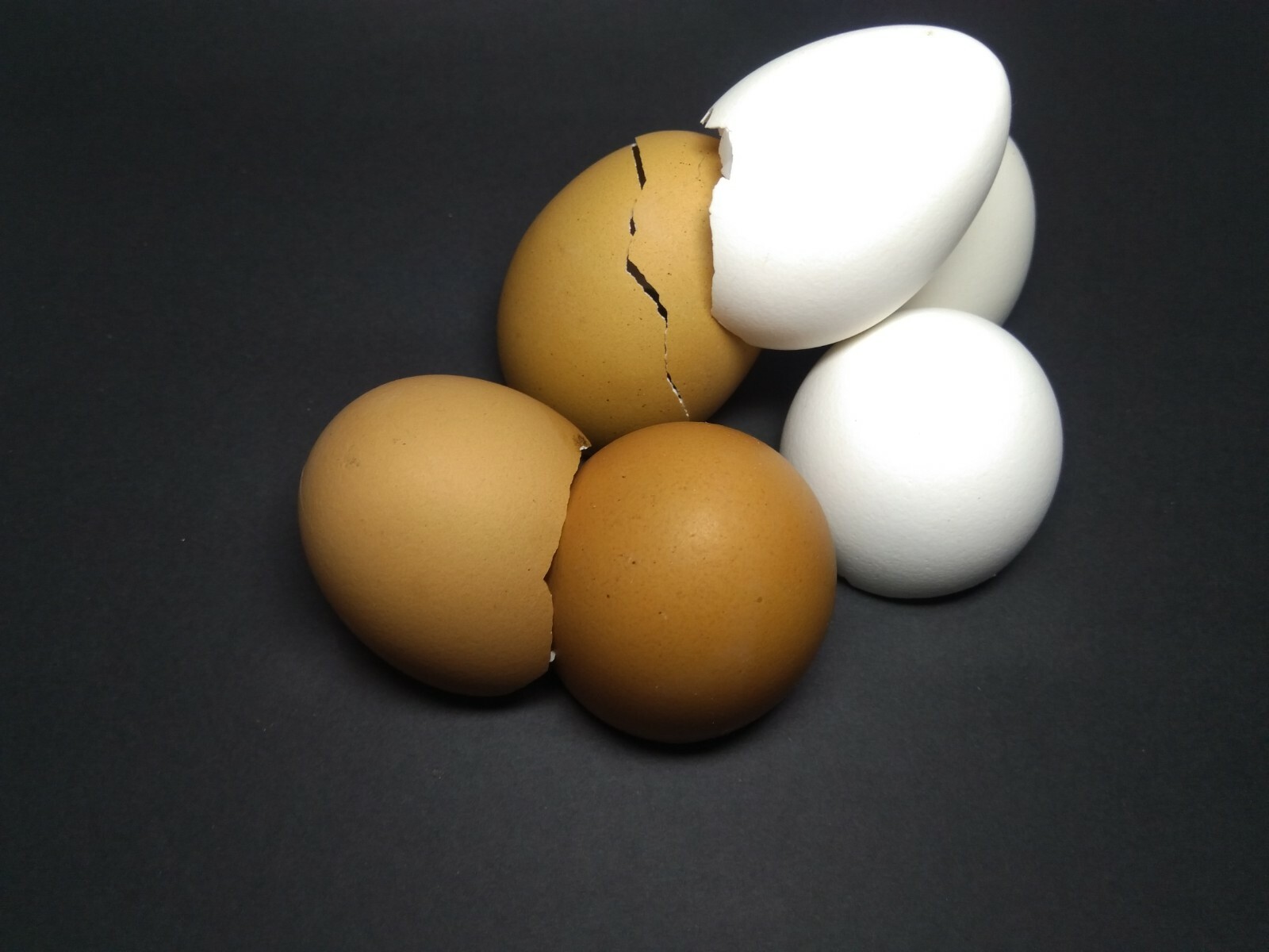 Crushed Eggshells 100% Organic Calcium Fertilizer & Calcium Supplement for Pets