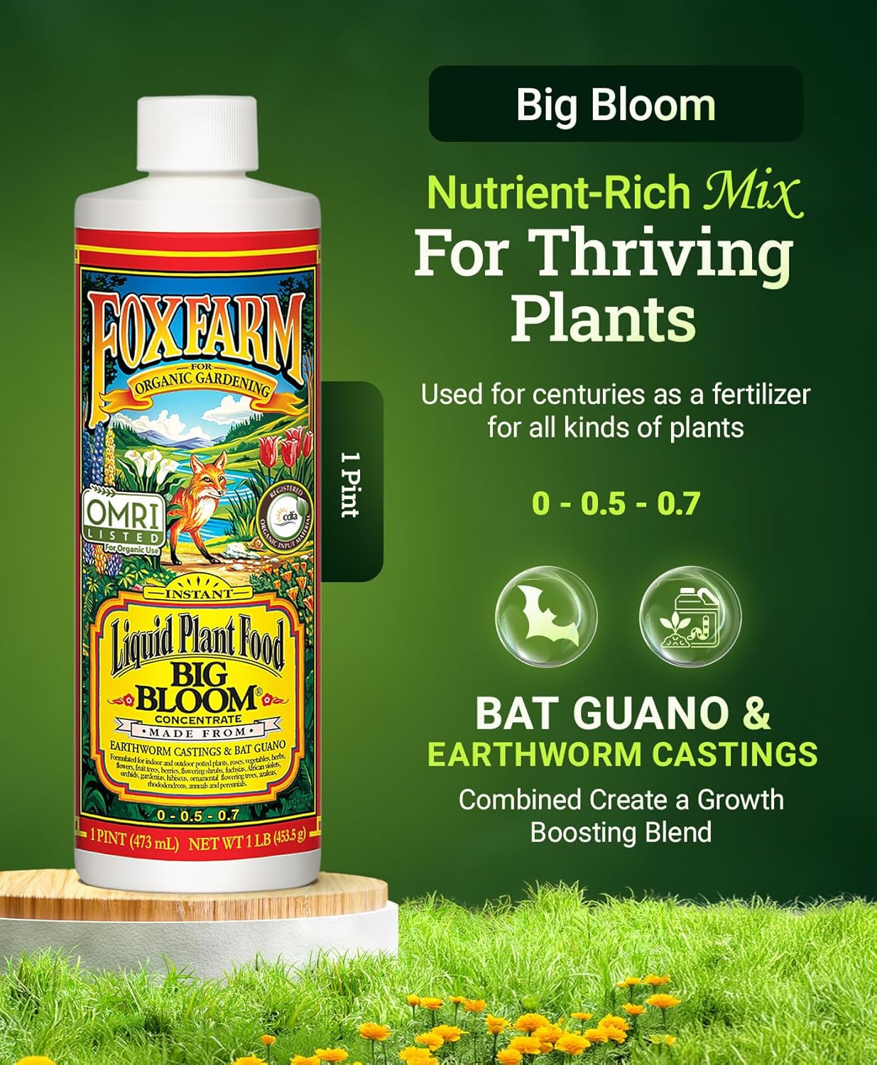 Big Bloom Liquid Plant Fertilizer Organic Nutrients for Vibrant Flowers and F…