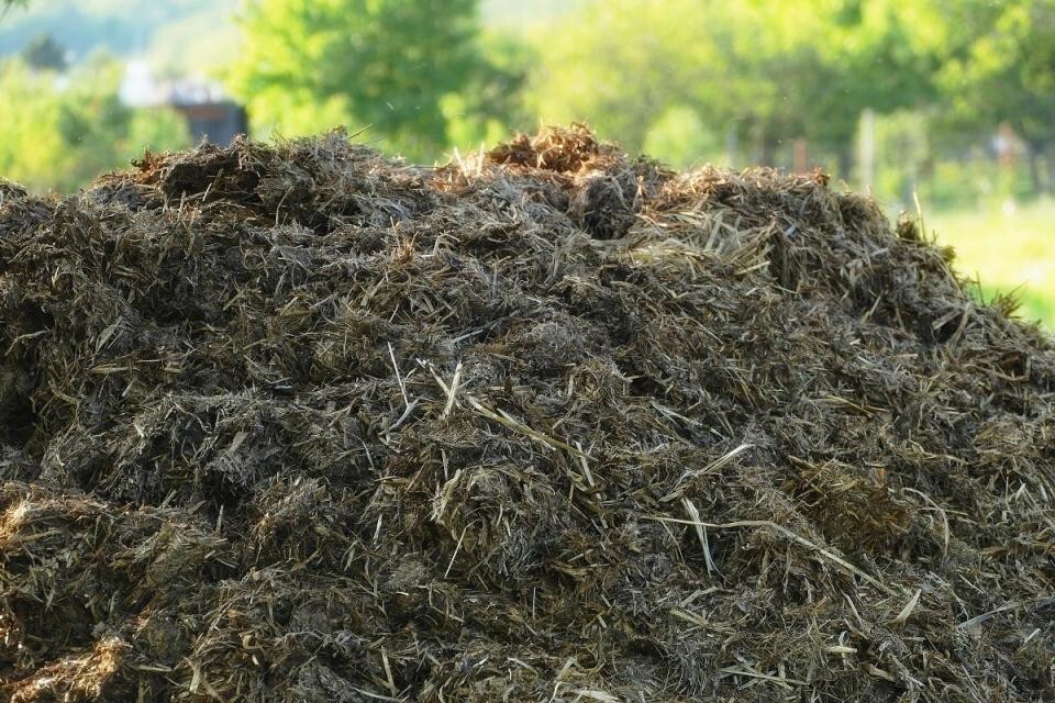 Dried Cow Dung Manure Organic Fertilizer Natural Compost For Plants Growth 400g