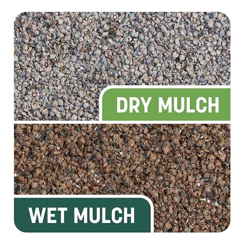 10 lb Smart Seed Fertilizer and Mulch for Repairing Bare Lawn Spots