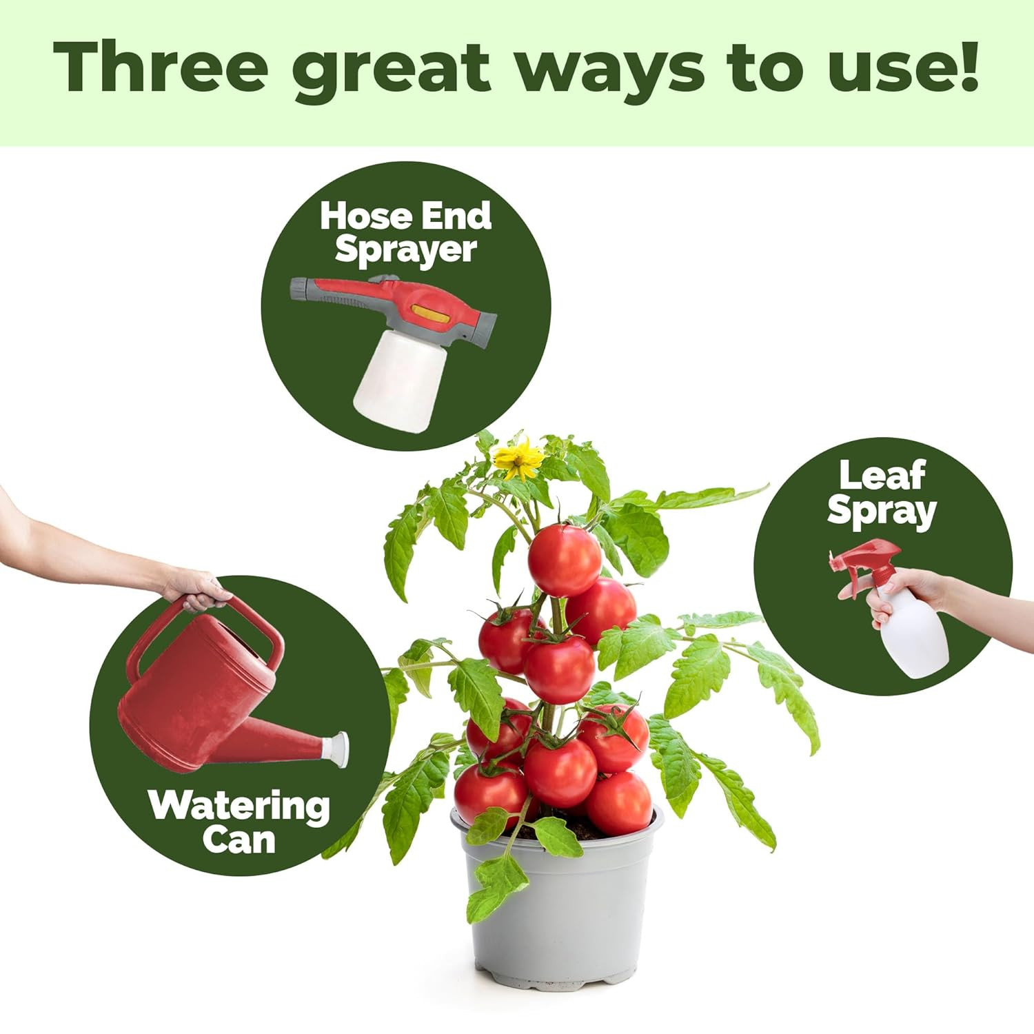 5-10-10 Fertilizer for Plants, Great for Root Vegetables, Tomatoes, and Flowers,