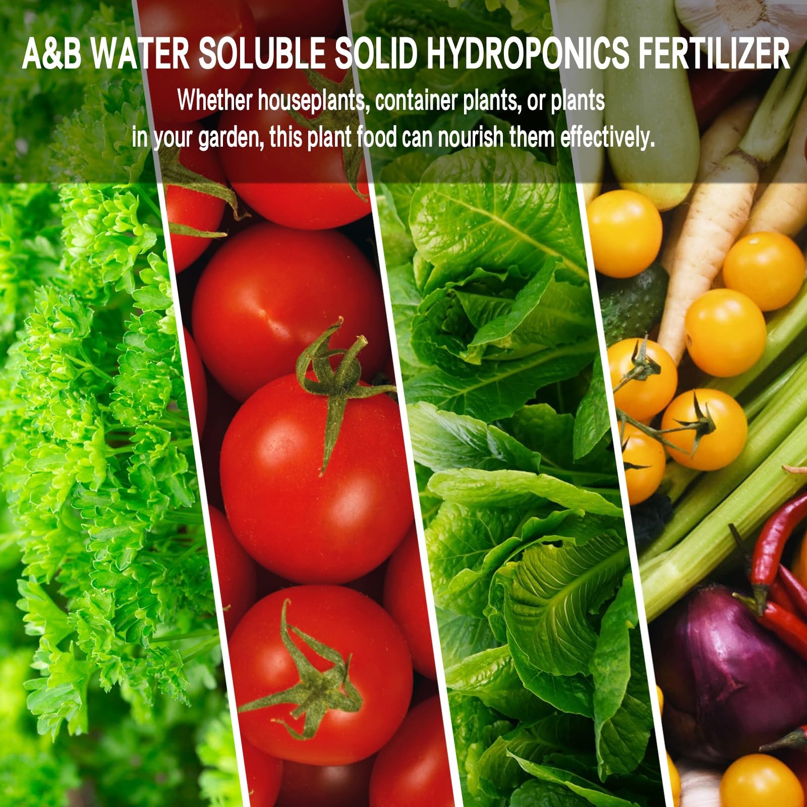 Hydroponic Nutrients a & B, 800Ml Plant Food for Indoor Growing System