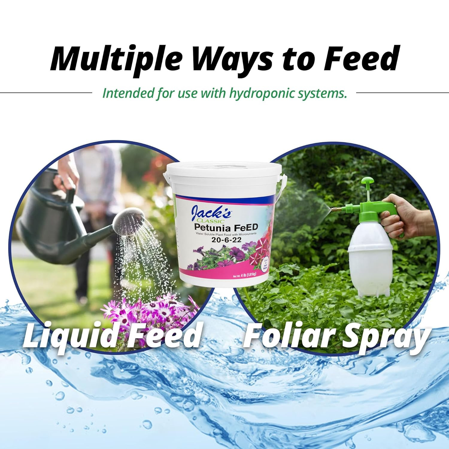 20-6-22 Petunia Feed Water-Soluble Fertilizer with Micronutrients to Provide Lus