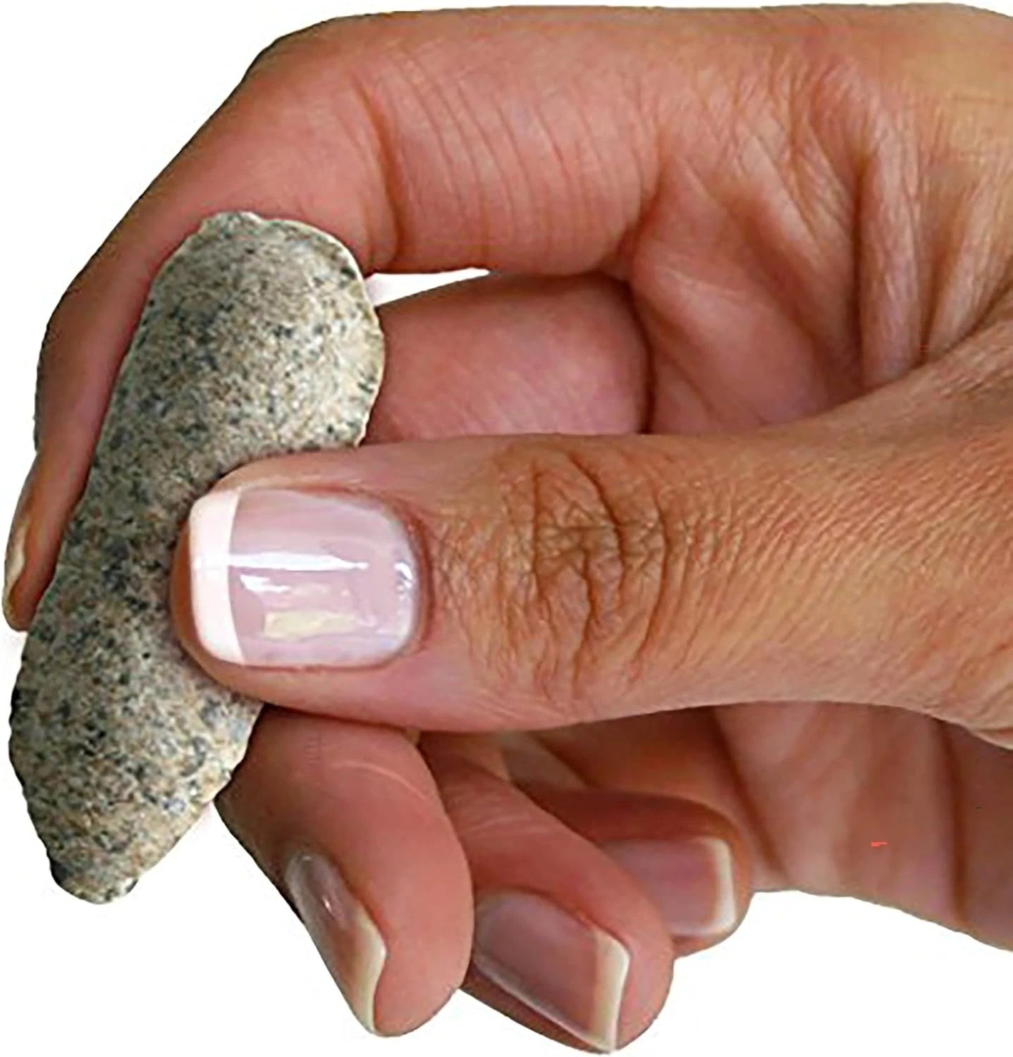 Garden Fertilizer Spikes, Easy Plant Care Fertilizer for Fruit and Citrus Plants
