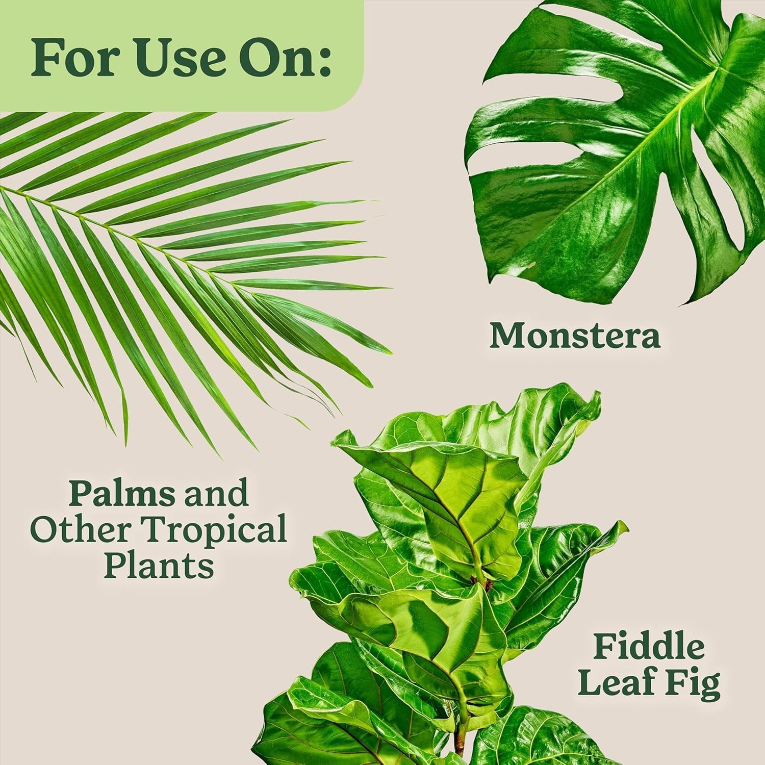 Indoor Plant Food for Tropicals – 2-Pack 8 oz Liquid Fertilizer for Houseplants