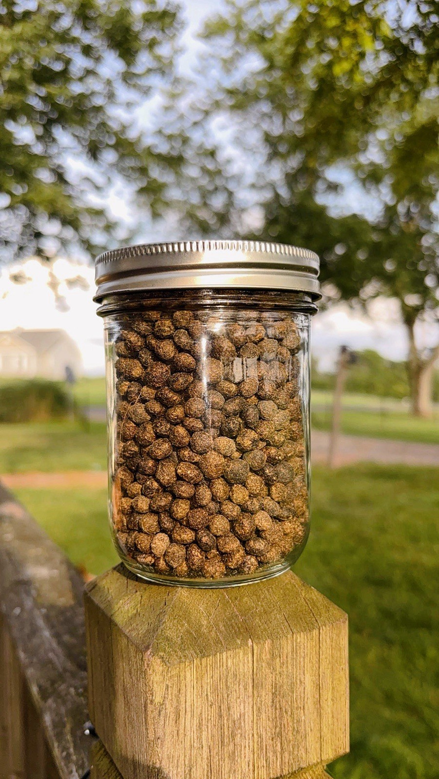 Organic Dried Rabbit Manure Fertilizer, Vacuum Sealed Quart Jar