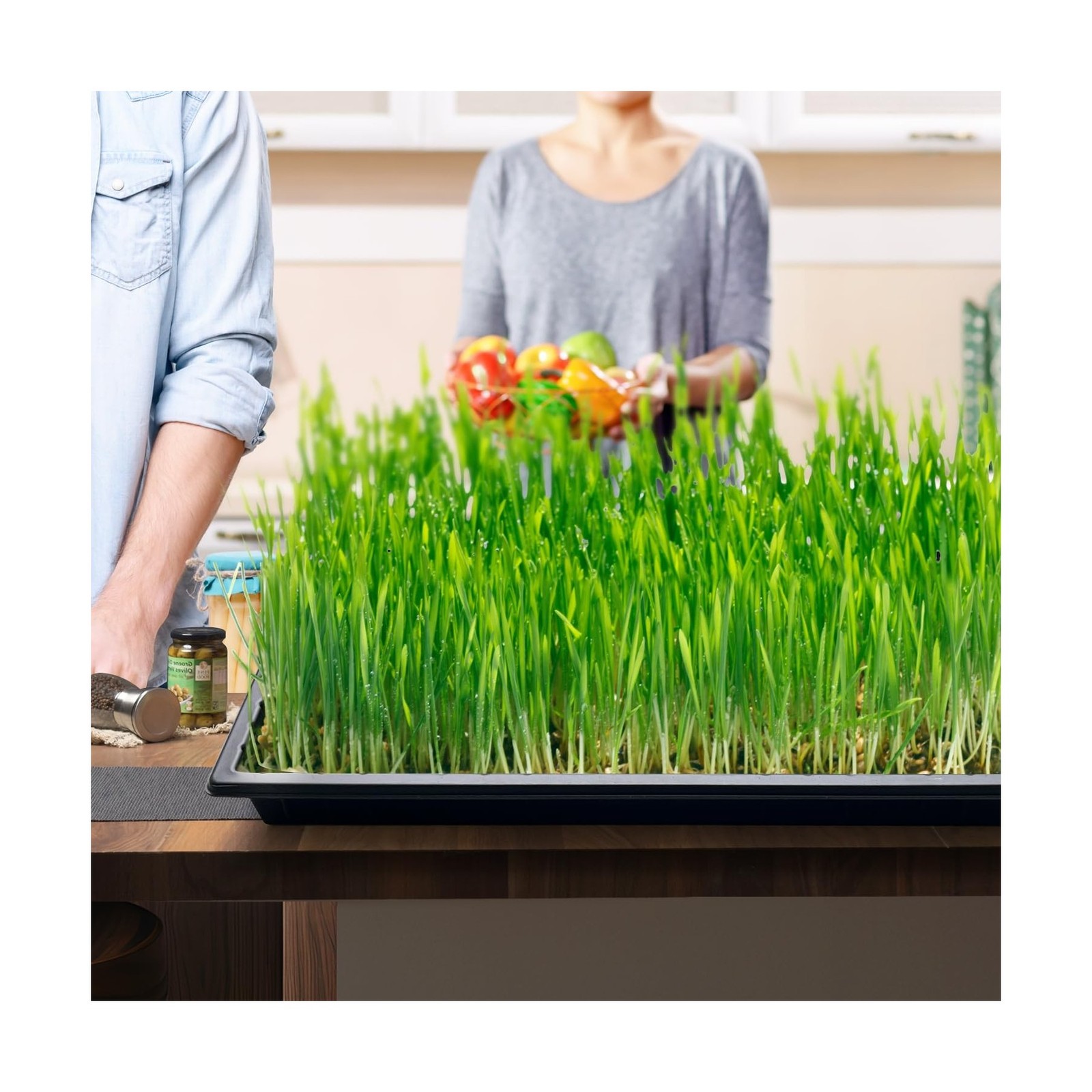 RooTrimmer Growing Trays, 1020 Plant Nursery Trays Heavy Duty Seed Starter Fl…