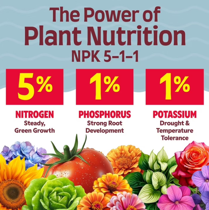 Alaska Fish Fertilizer 5-1-1 Plant Food, 1 gal