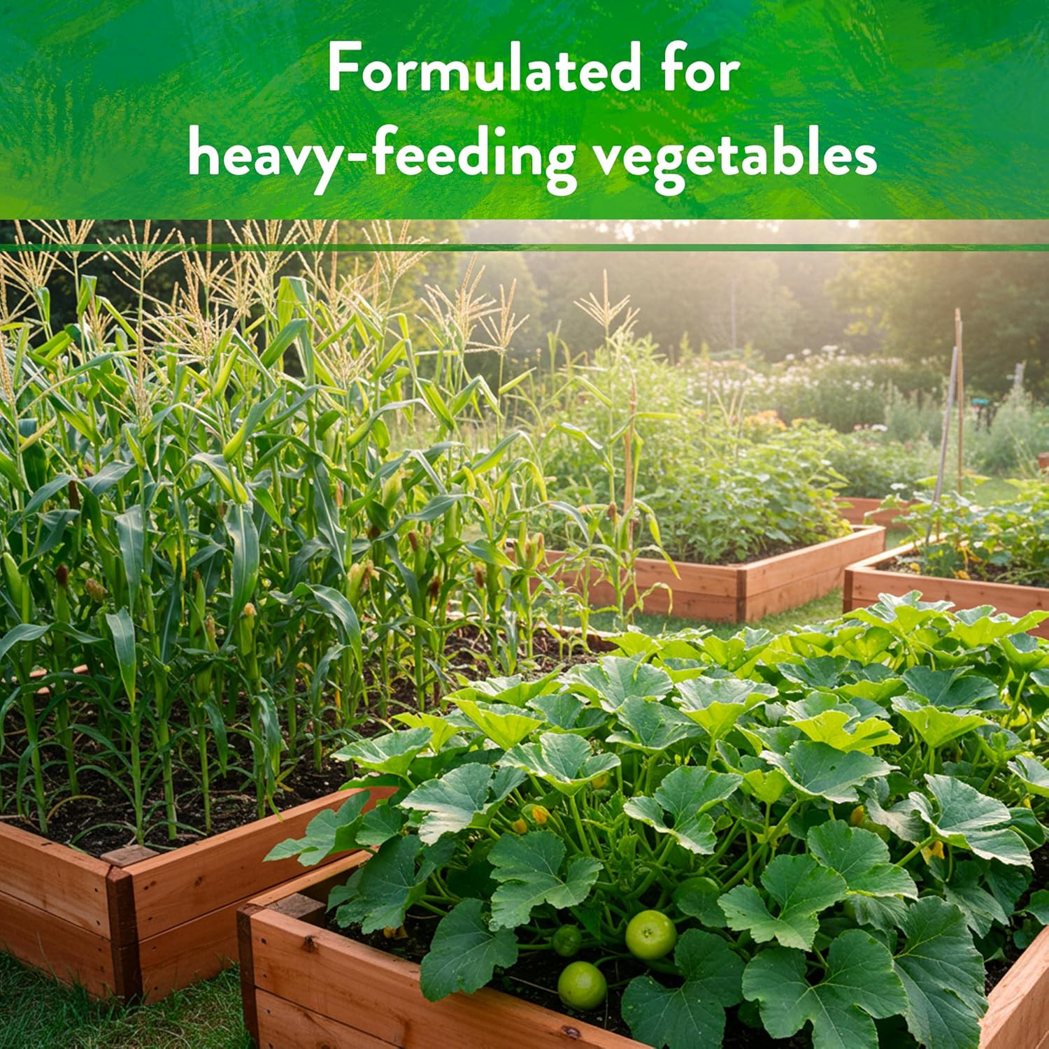 Down to Earth All Natural Fertilizers Organic Bio-Fish – Plant Food for Corn, Br