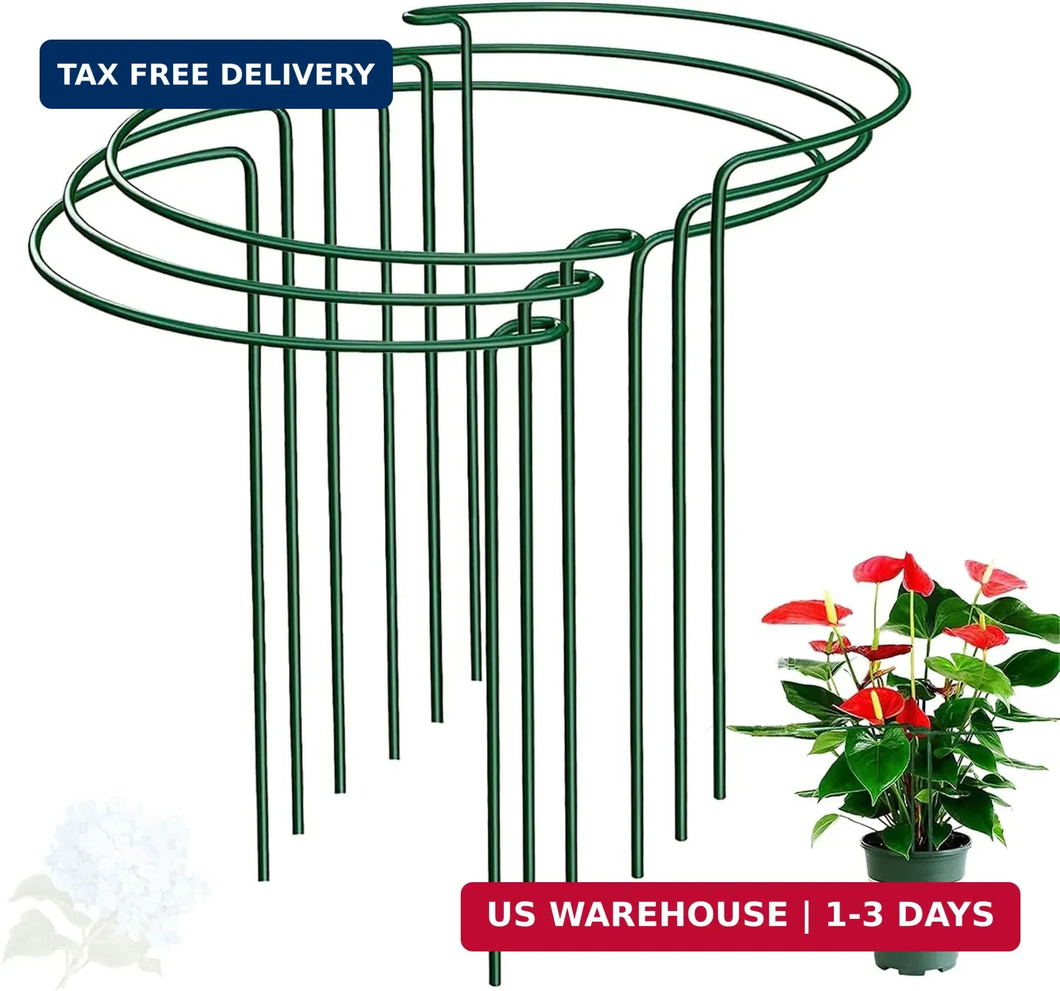 Half Round Snake Plant Support Stakes, Plant Ring for Peonies, Hydrangeas, ZZ, a