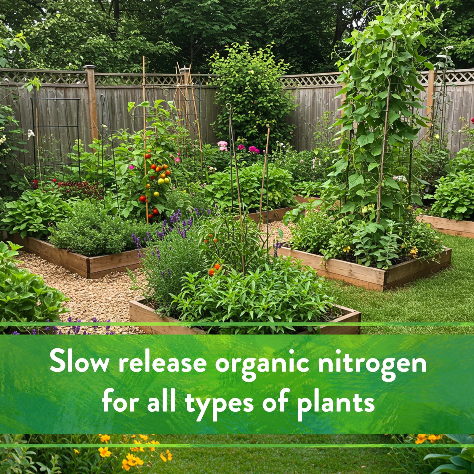 Organic High Nitrogen Fertilizer 12 0 0 Slow Release For Healthy Plants