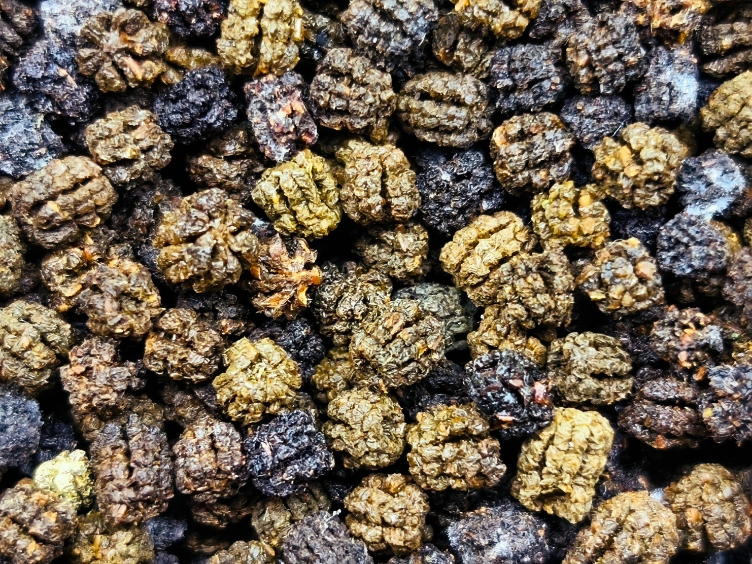 Caterpillar manure – a safe ORGANIC FERTILIZER. Insect farm produce. Pack 1 oz.