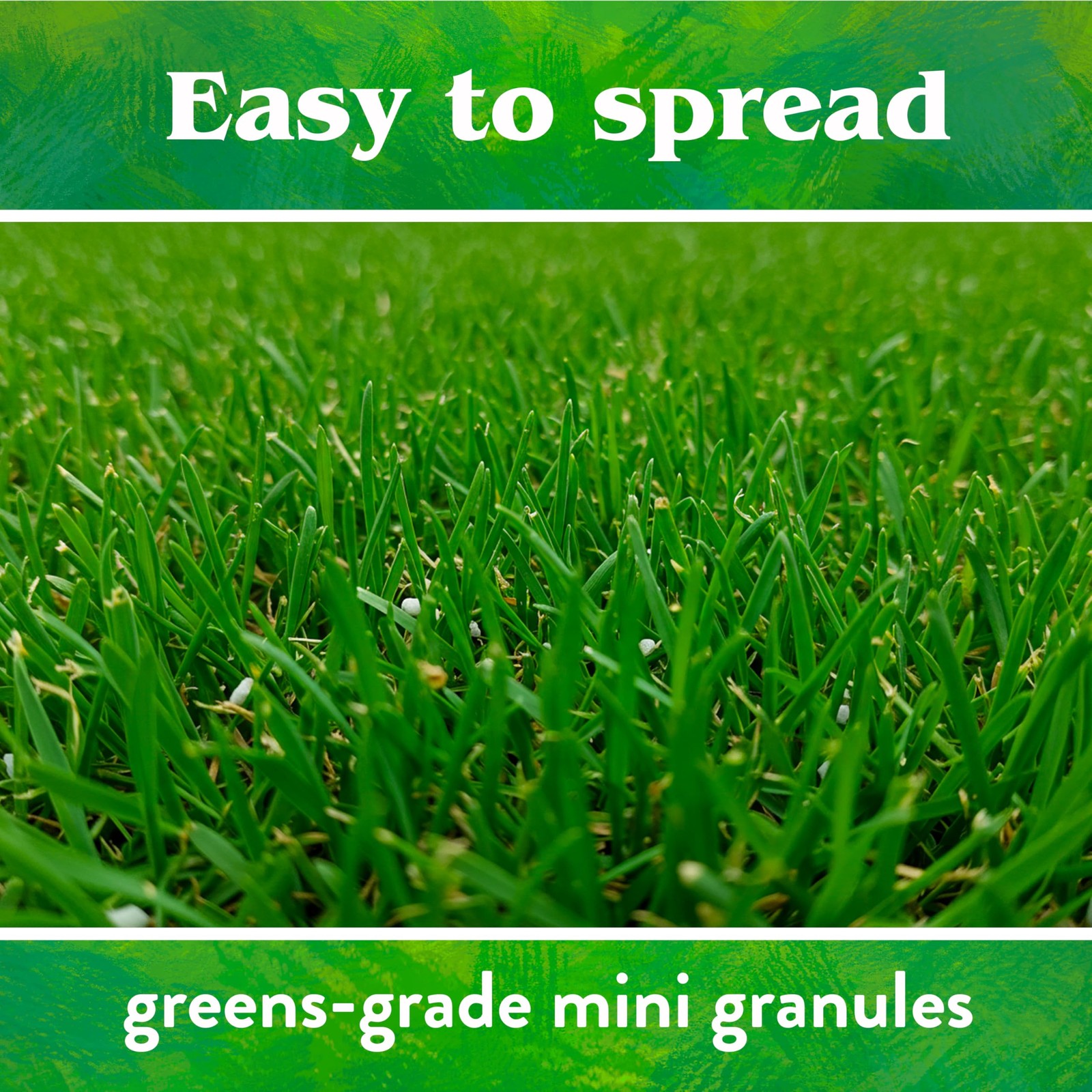 Down to Earth Organic Bio-Turf Lawn Fertilizer Mix 8-3-5, 4 lb