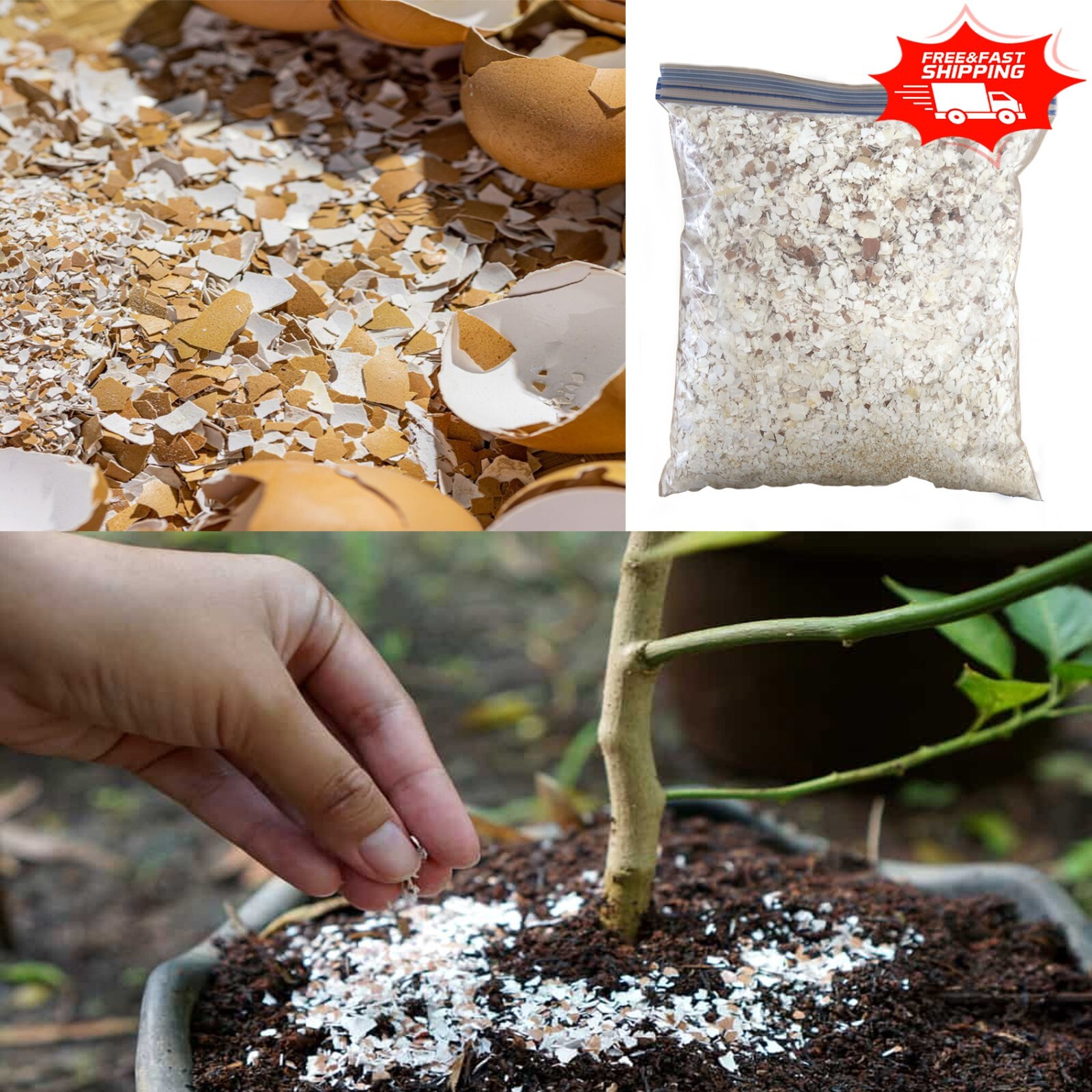 Organic Crushed Eggshells 100g Chicken Egg Shell fertilizer Calcium Garden Slugs