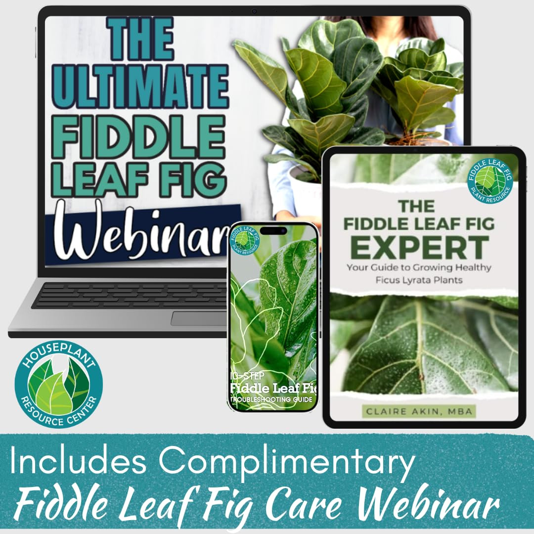 Fiddle Leaf Fig Rescue Drops – Treats Root Rot, Brown Spots, Leaf Drop & Stress
