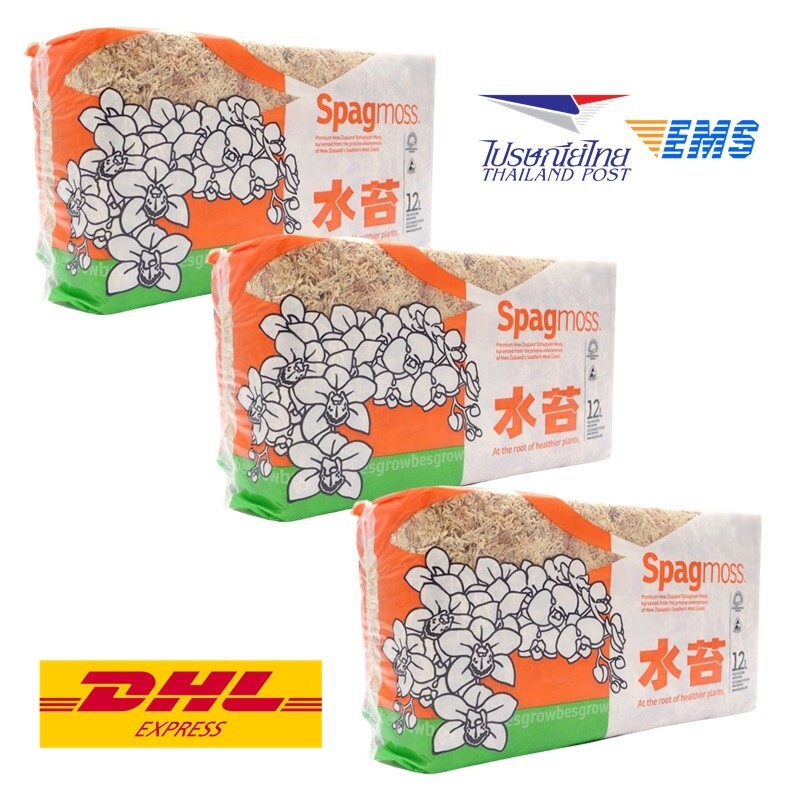 3x Spagmoss New Zealand Spagnum moss Fiber Orchid Plant natural clean 12 liter