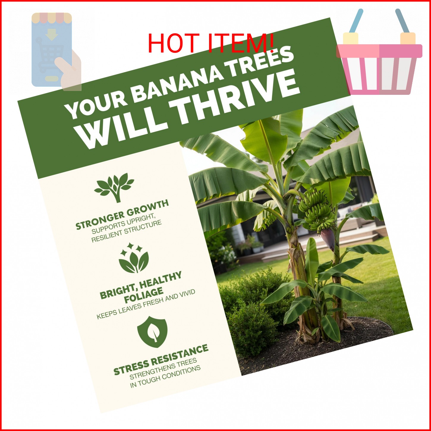 Banana Tree Fertilizer – Liquid Fertilizer for All Banana Tree Varieties, Suppor