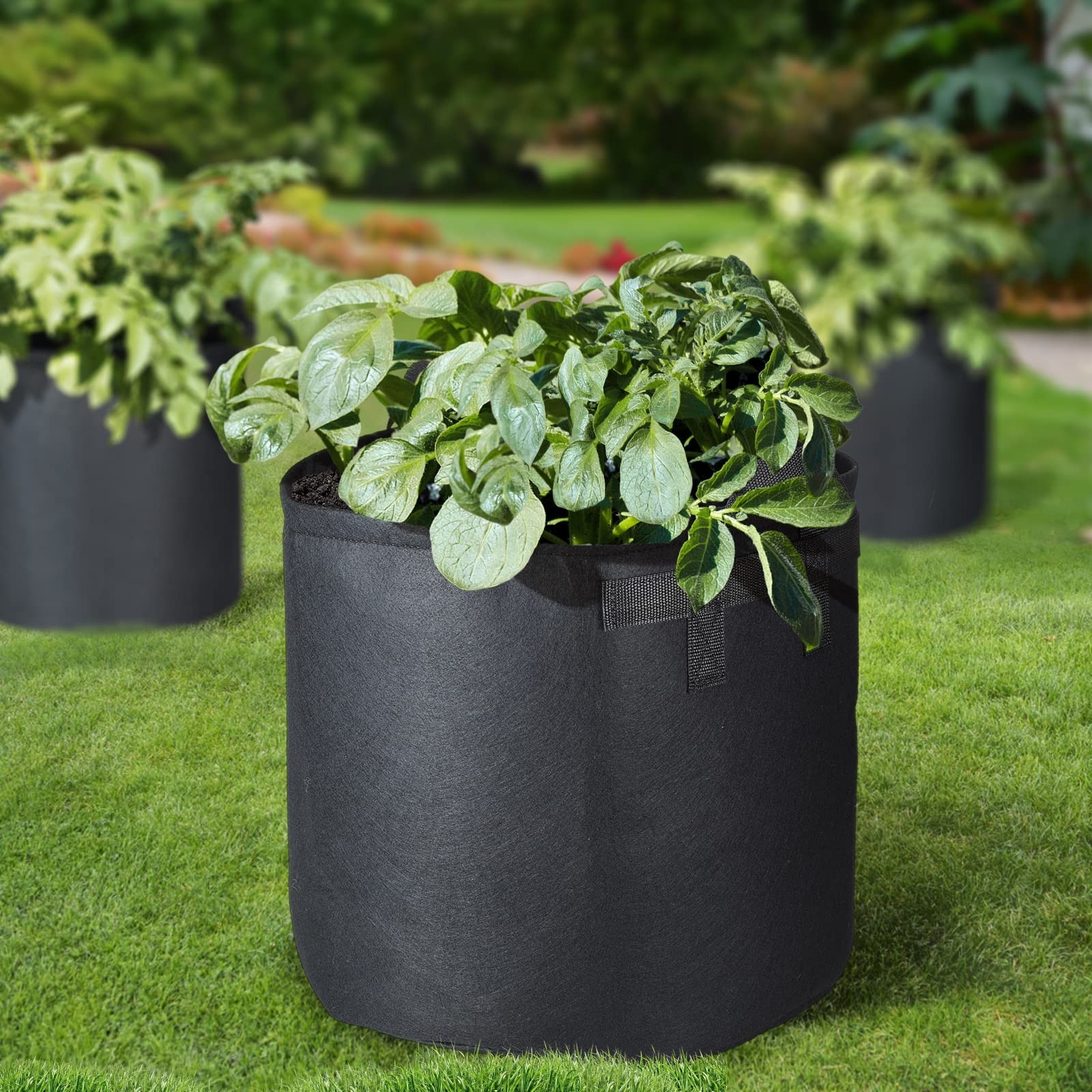 6-Pack 12 Gallon Grow Bags | 300G Thickened Nonwoven, Plant Fabric Pots, Rein…