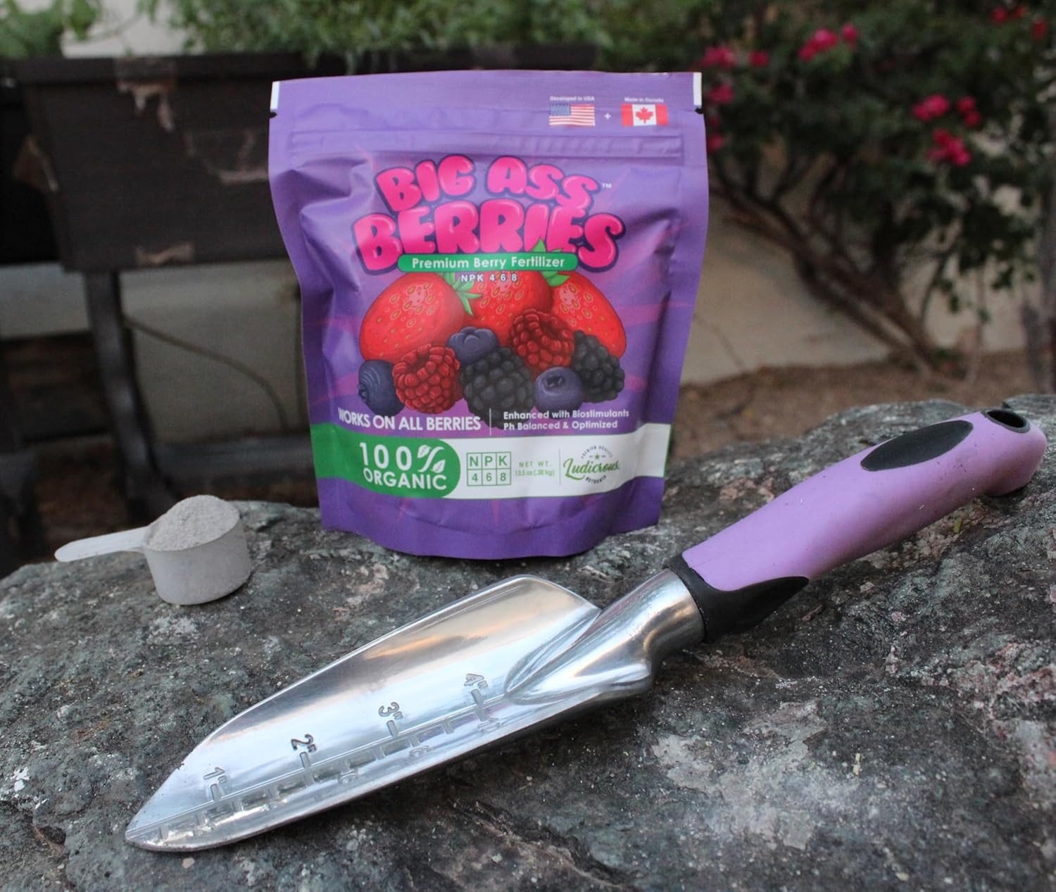 Big a Berries Fertilizer Nutrients – Plant Nutrients for Growth – Organic Nutrie