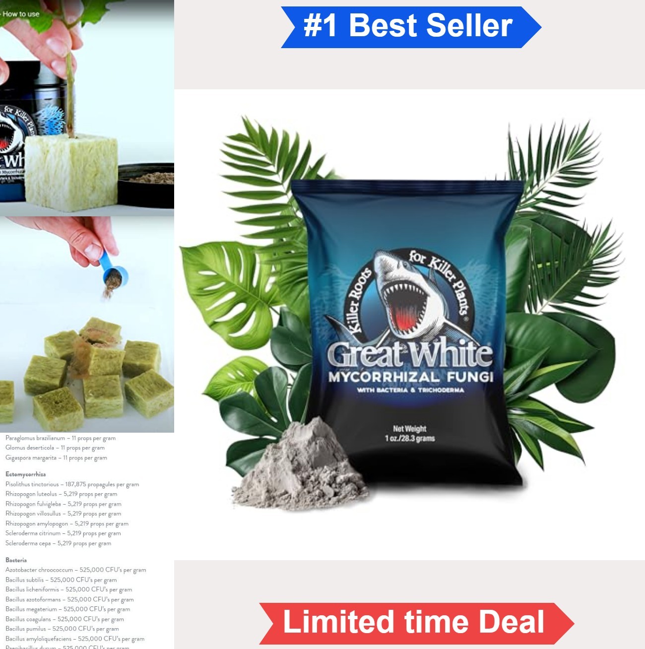 Mycorrhizal Fungi 1 oz Powder Root Stimulator Beneficial Bacteria Plant Growth