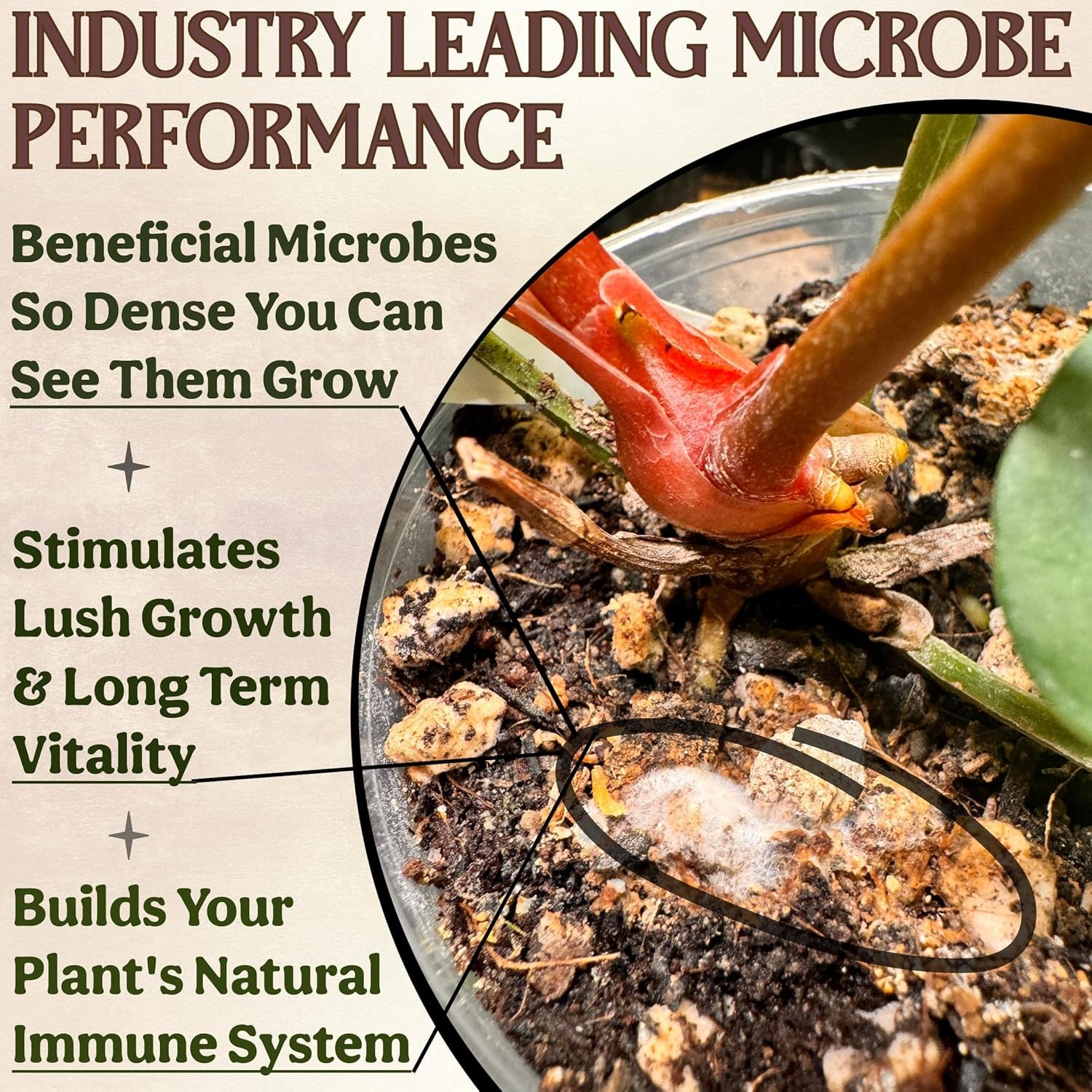 All-in-One Complete Organic Plant Food Indoor Fertilizer for Houseplants