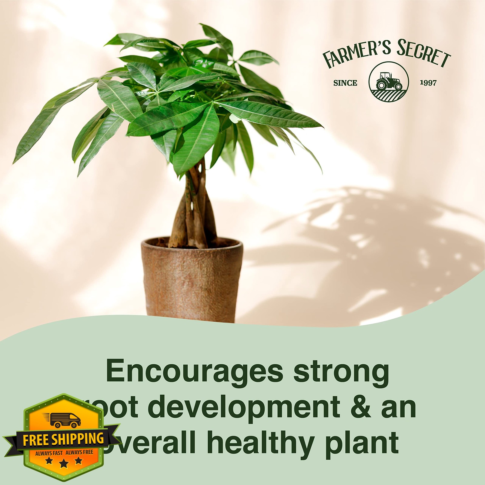 Farmer’s Secret Money Tree Liquid Plant Food Fertilizer (8oz) – Super Concent…