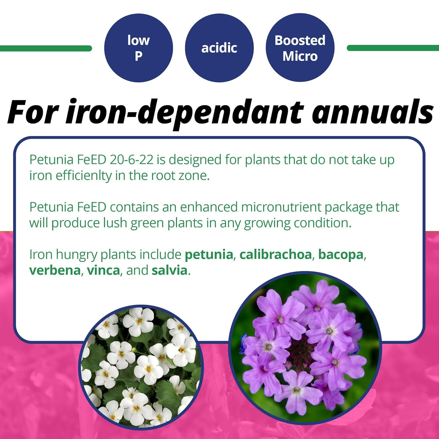 20-6-22 Petunia Feed Water-Soluble Fertilizer with Micronutrients to Provide Lus