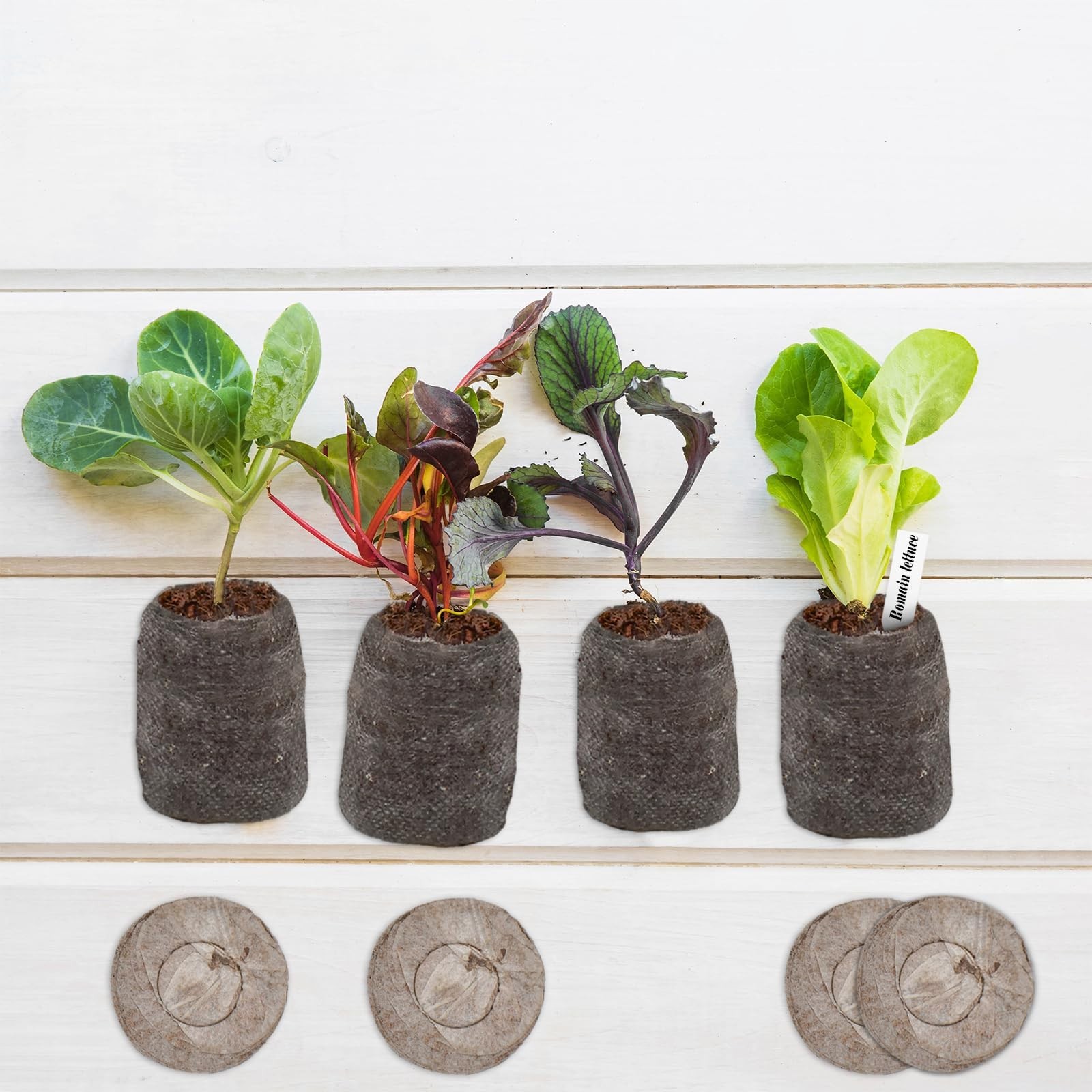 100 Pcs 30mm Peat Pellets Seed Starter Pods for Vegetable & Seedling Transplant