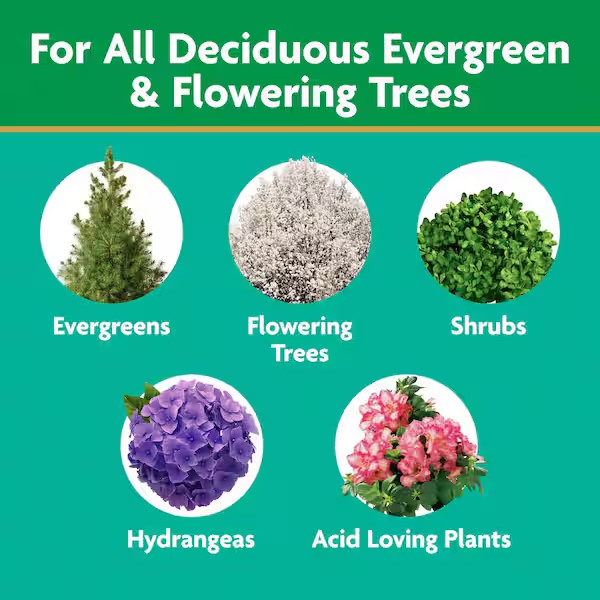 1 Pack (12 count) Miracle-gro Tree & Shrub Plant Food Spikes, Fertilizer Stakes