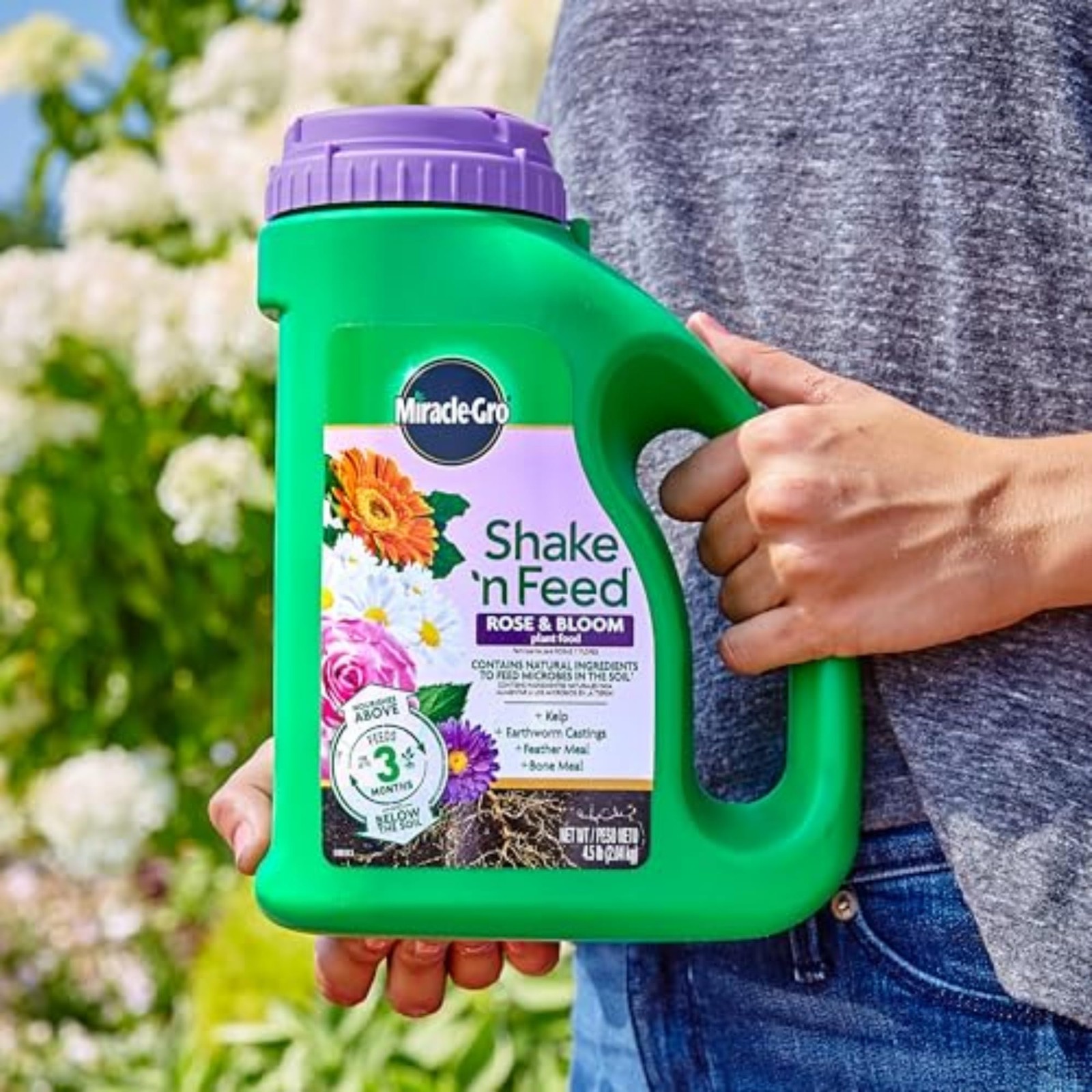 Miracle-Gro Shake ‘n Feed Rose & Bloom Plant Food – Long-Lasting Granular