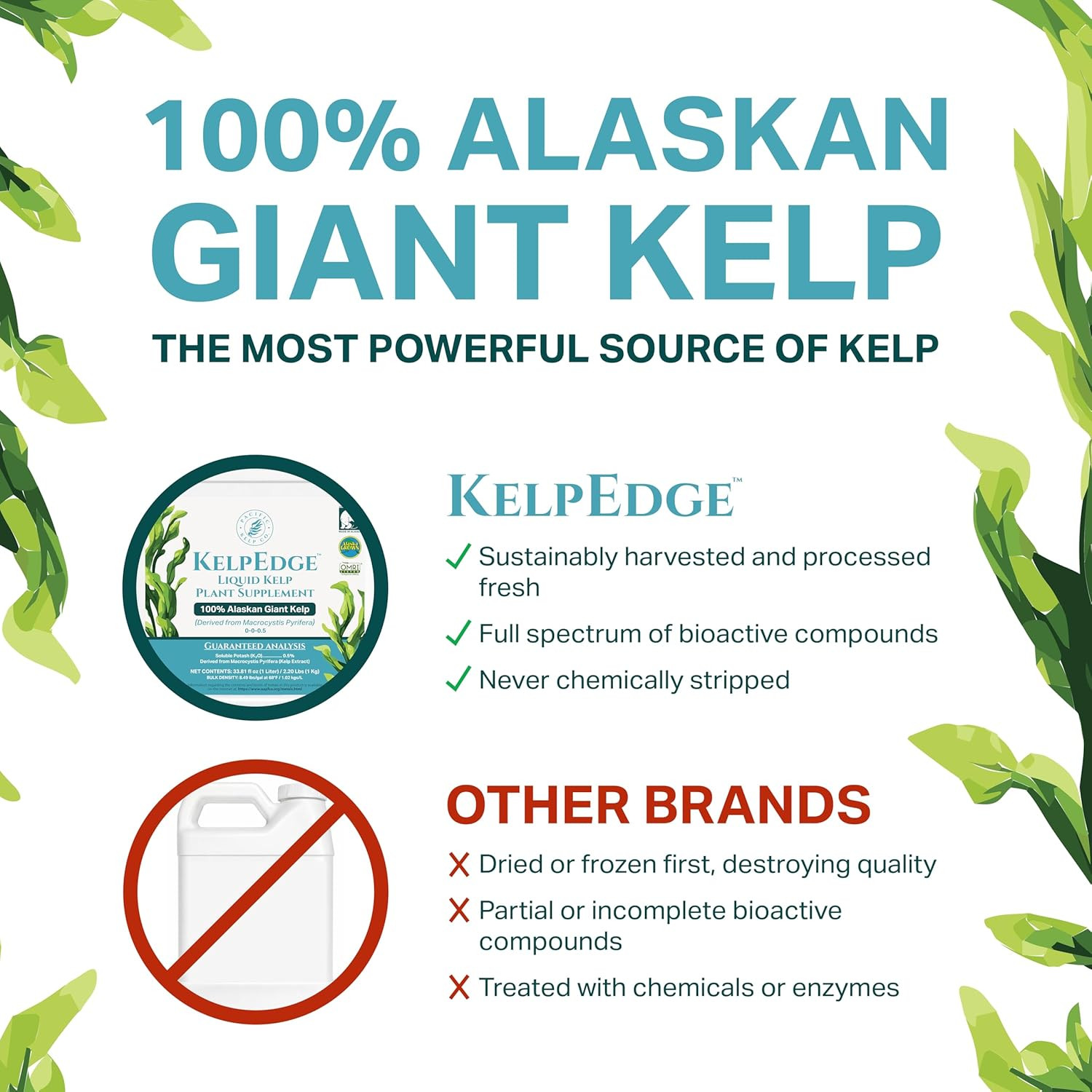 Organic Liquid Kelp Plant Supplement- Seaweed Extract Concentrated Fertilizer Bo