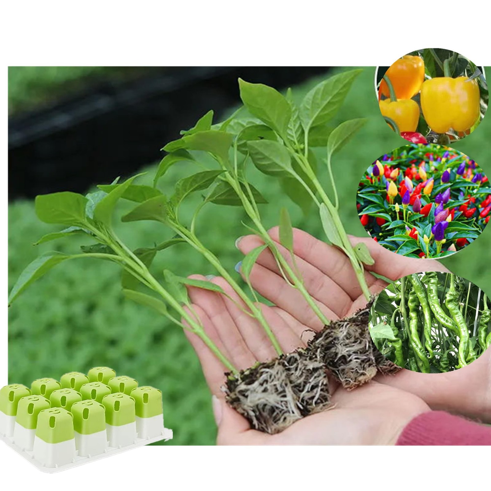 5pcs Seed Starter Tray, Silicone Seeding Starter with Pop-Out Cells (60 Cells…