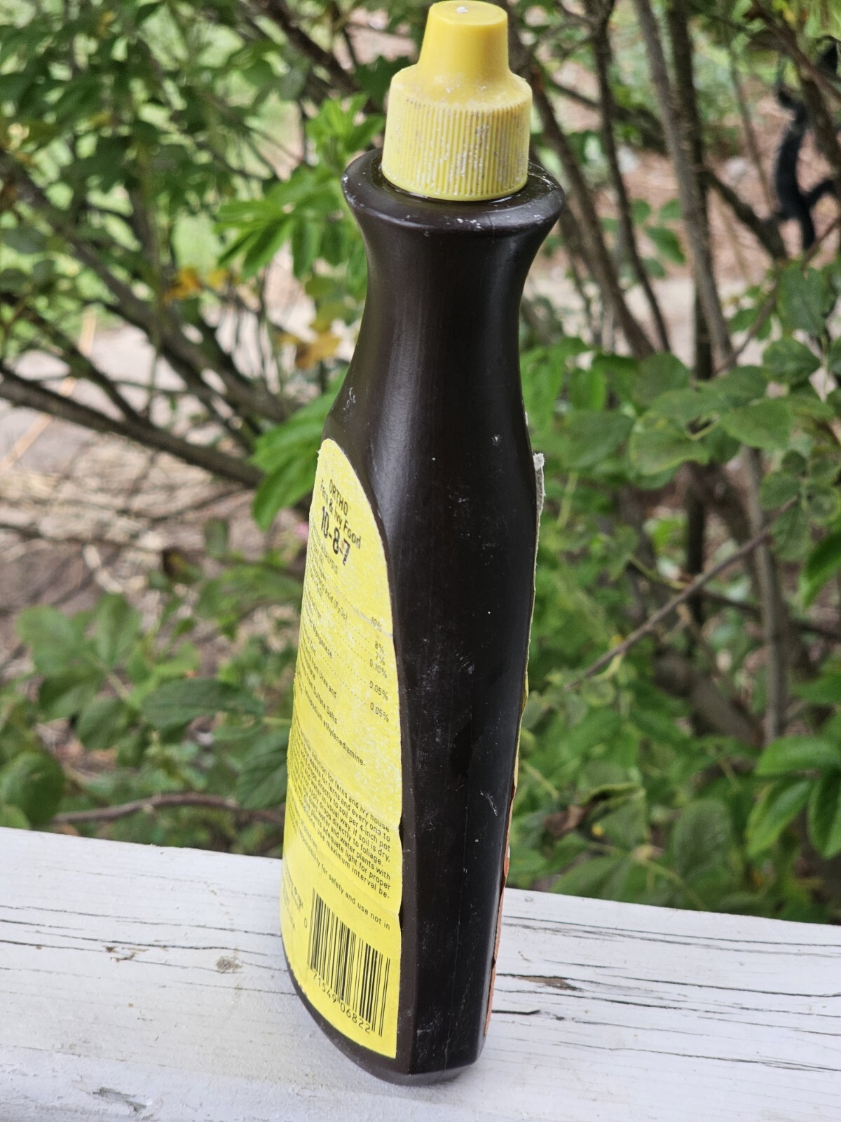 Ortho Vintage Fern & Ivy Food 1984 Advertising Chevron 8 Fl Oz Bottle