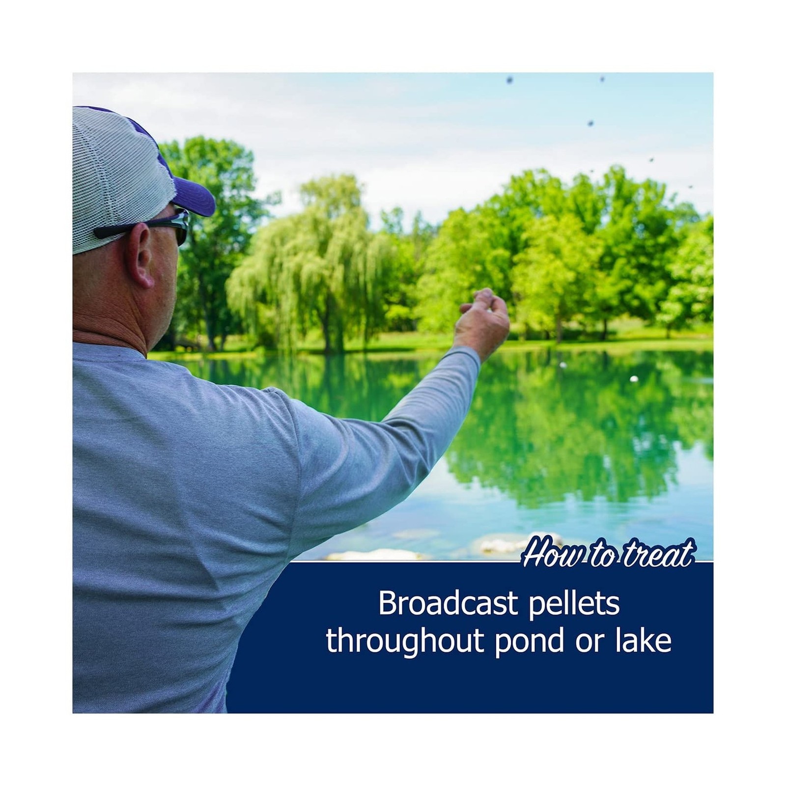 Muck Remover Pellets 10 lb Pond Tablets Treats 2.5 Acres – Pond Sludge Remove…
