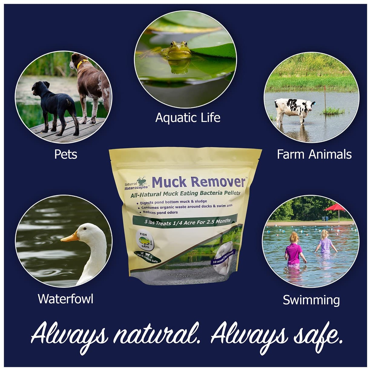 Muck Remover Pellets 10 lb Pond Tablets Treats 2.5 Acres – Pond Sludge Remove…
