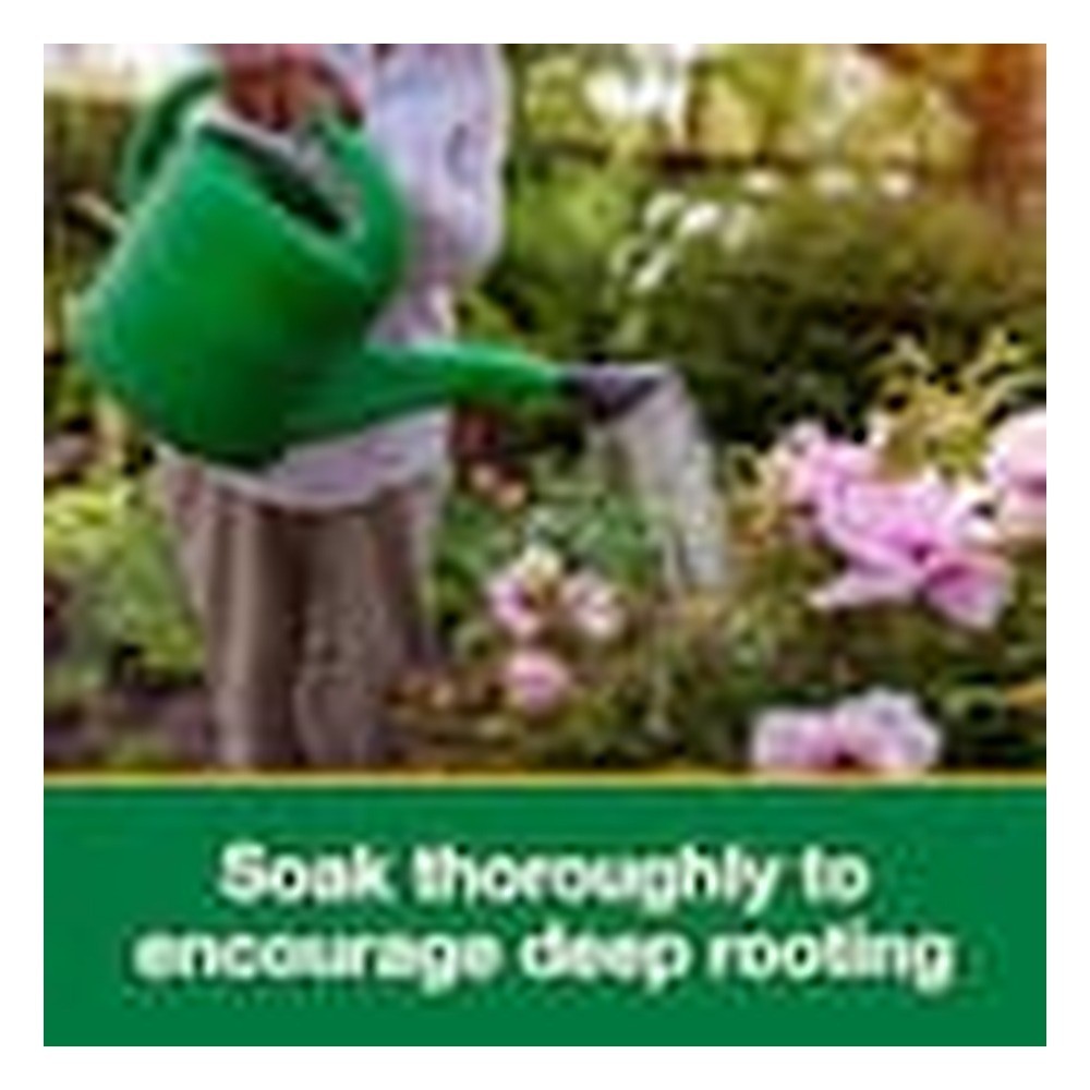 40 Lb All Purpose 10 10 10 Fertilizer For Plants And Gardens | FREE SHIPPING