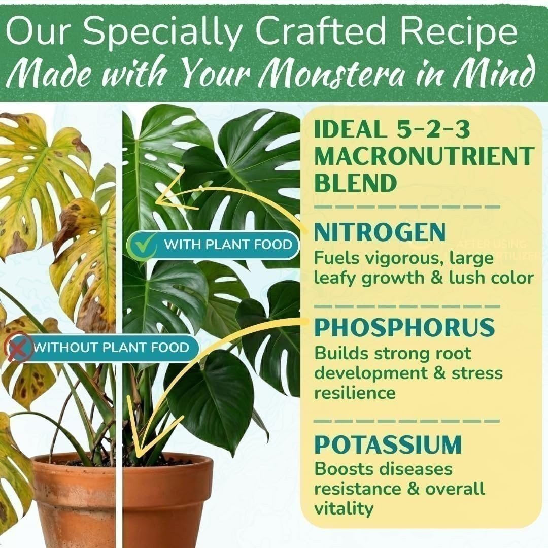 Monstera Plant Food – 5-2-3 Liquid Fertilizer for Monstera, Pothos & Snake (8oz)