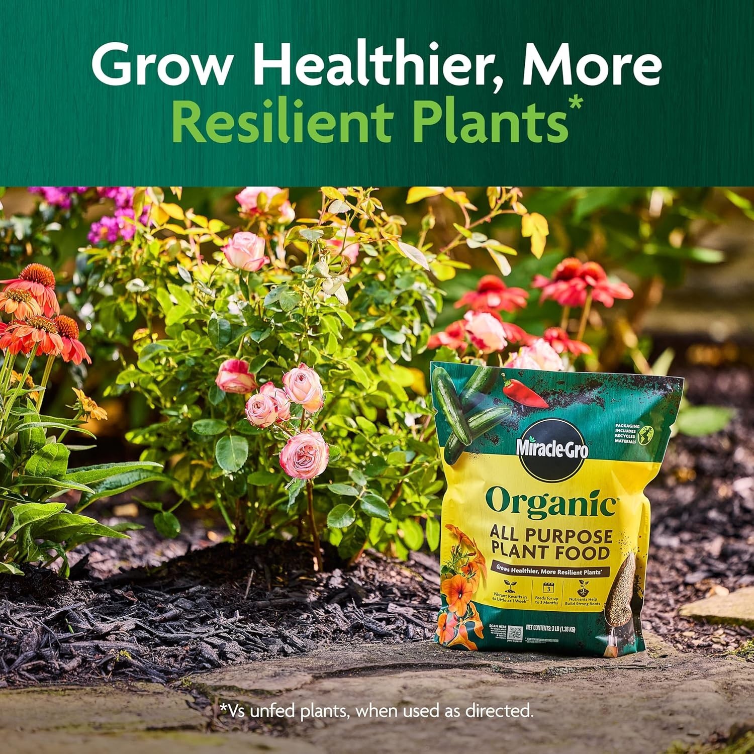 Organic Plant Food