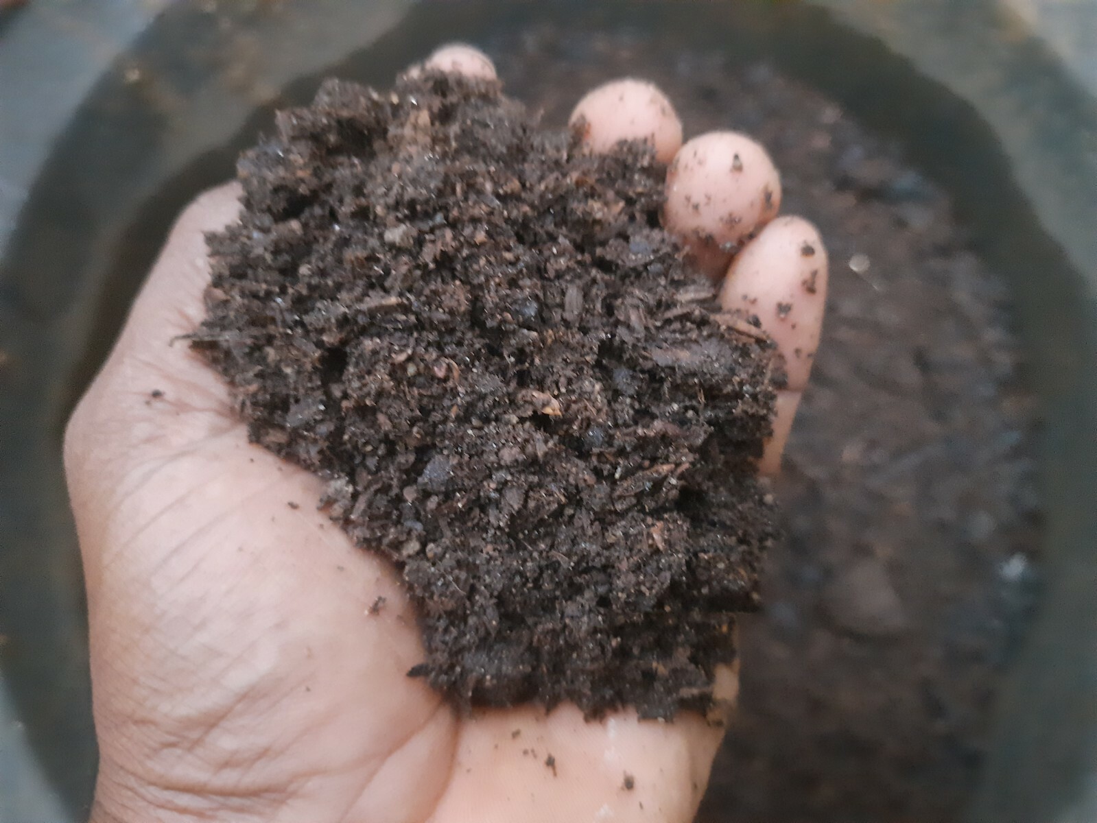 Compost Organic Dried mixing fertilizer Cow Dung,chicken Manure,Goat Dung Ceylon