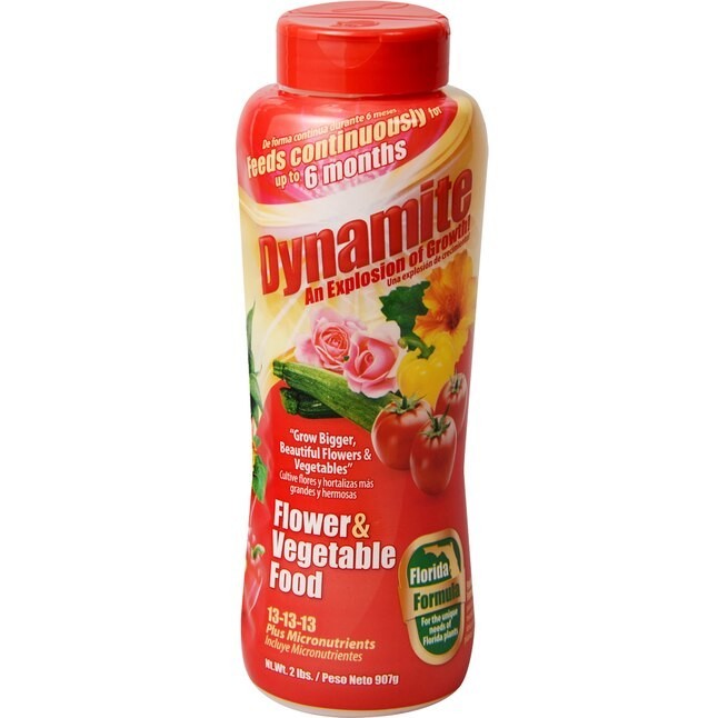 Dynamite Florida Formula 2-lb 13-13-13 All-purpose Food