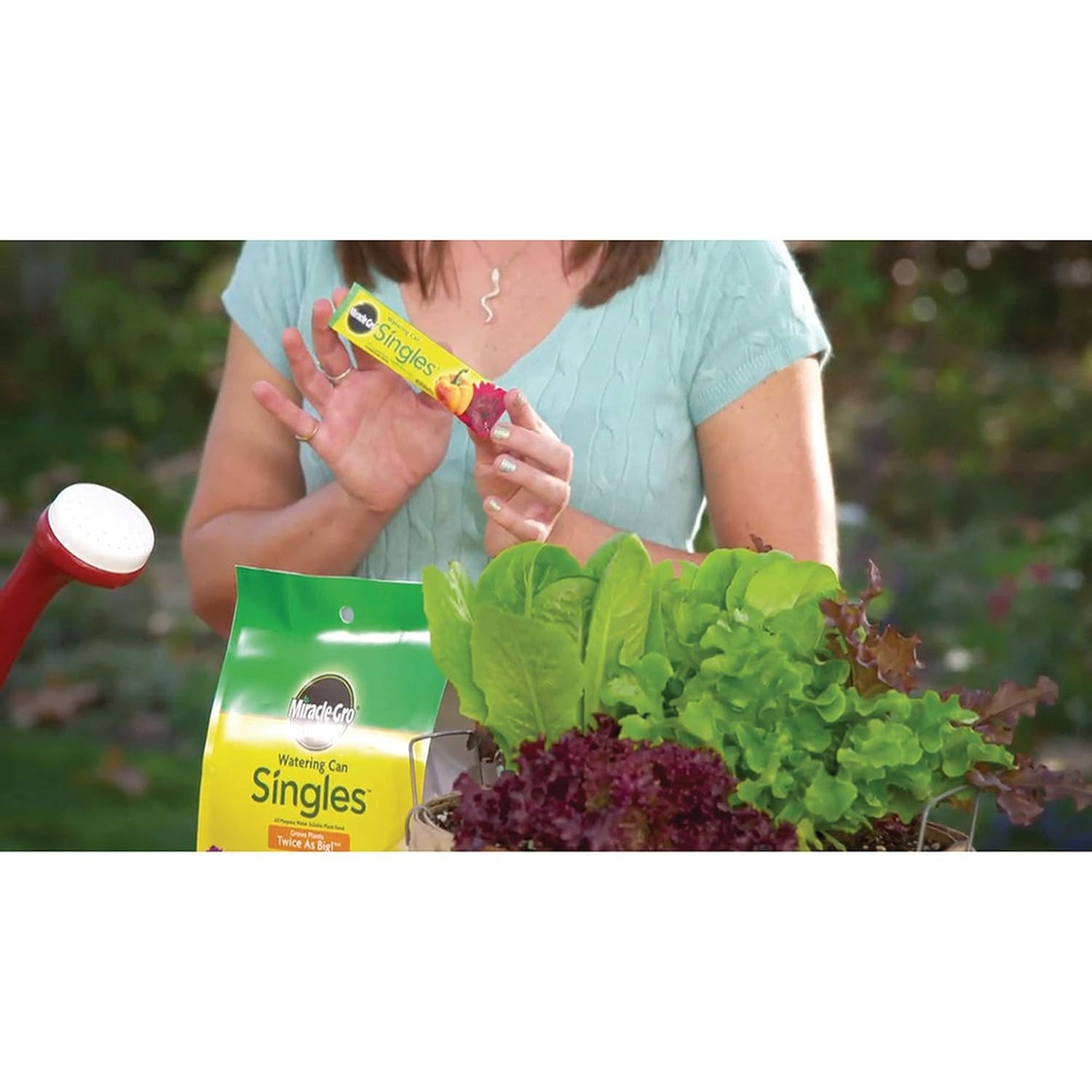 Miracle-Gro Watering Can Singles – 24 Pre-Measured Plant Food Packets 10.24oz