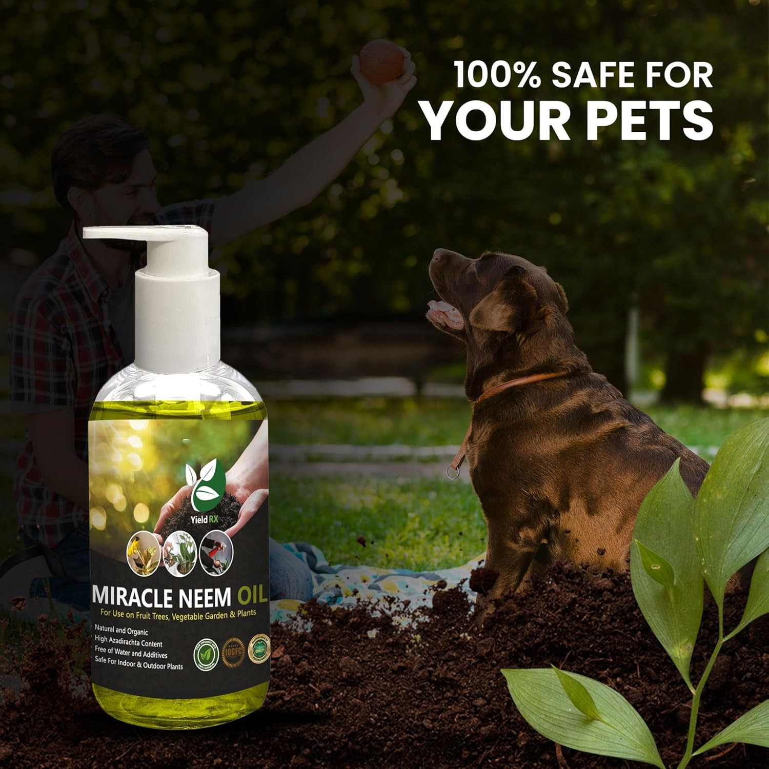 Yield RX 100% Pure Cold Pressed Neem Oil for Indoor & Outdoor Plants, Vegetables