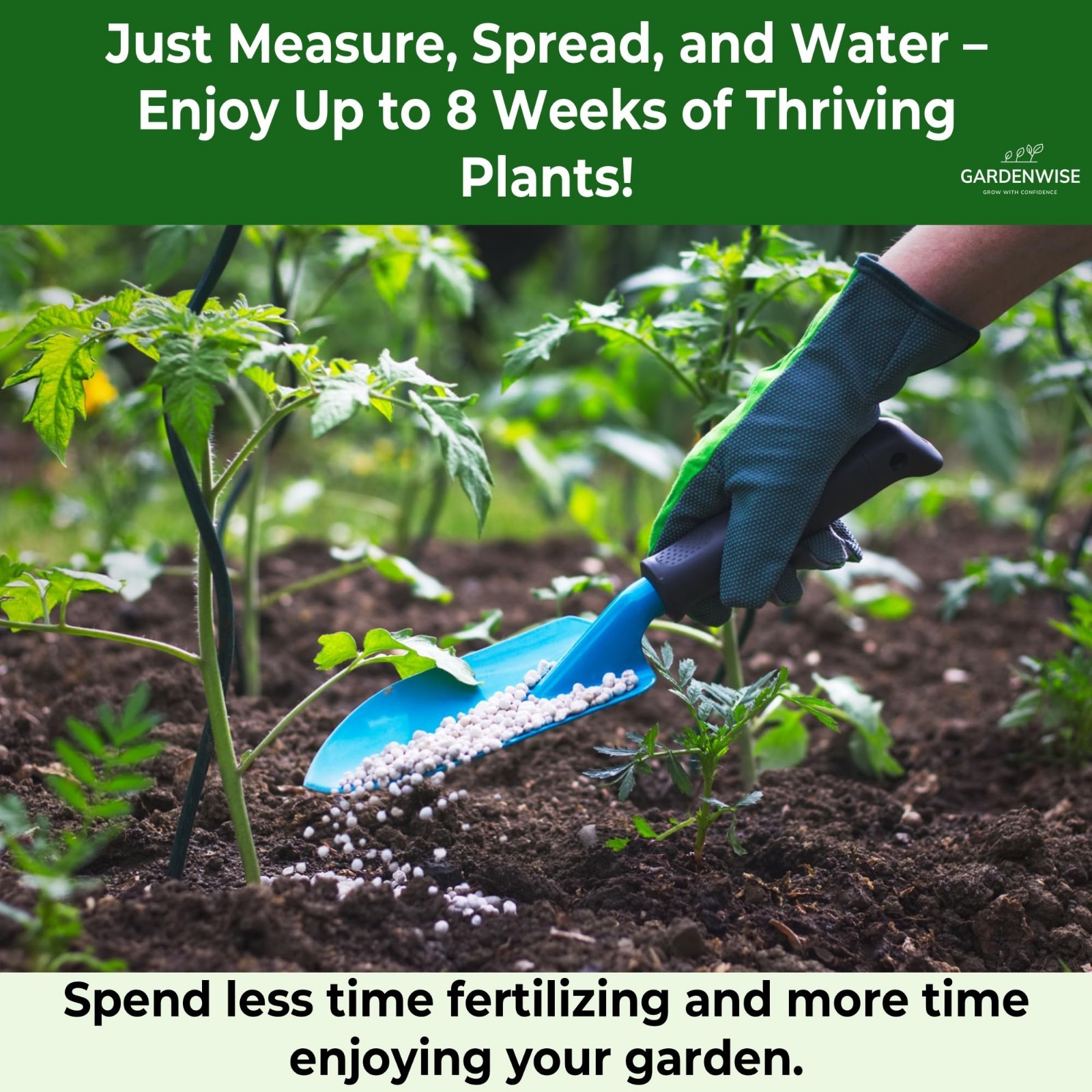 All-Purpose 10-10-10 Slow Release Granular Fertilizer for Vegetables, Flowers &