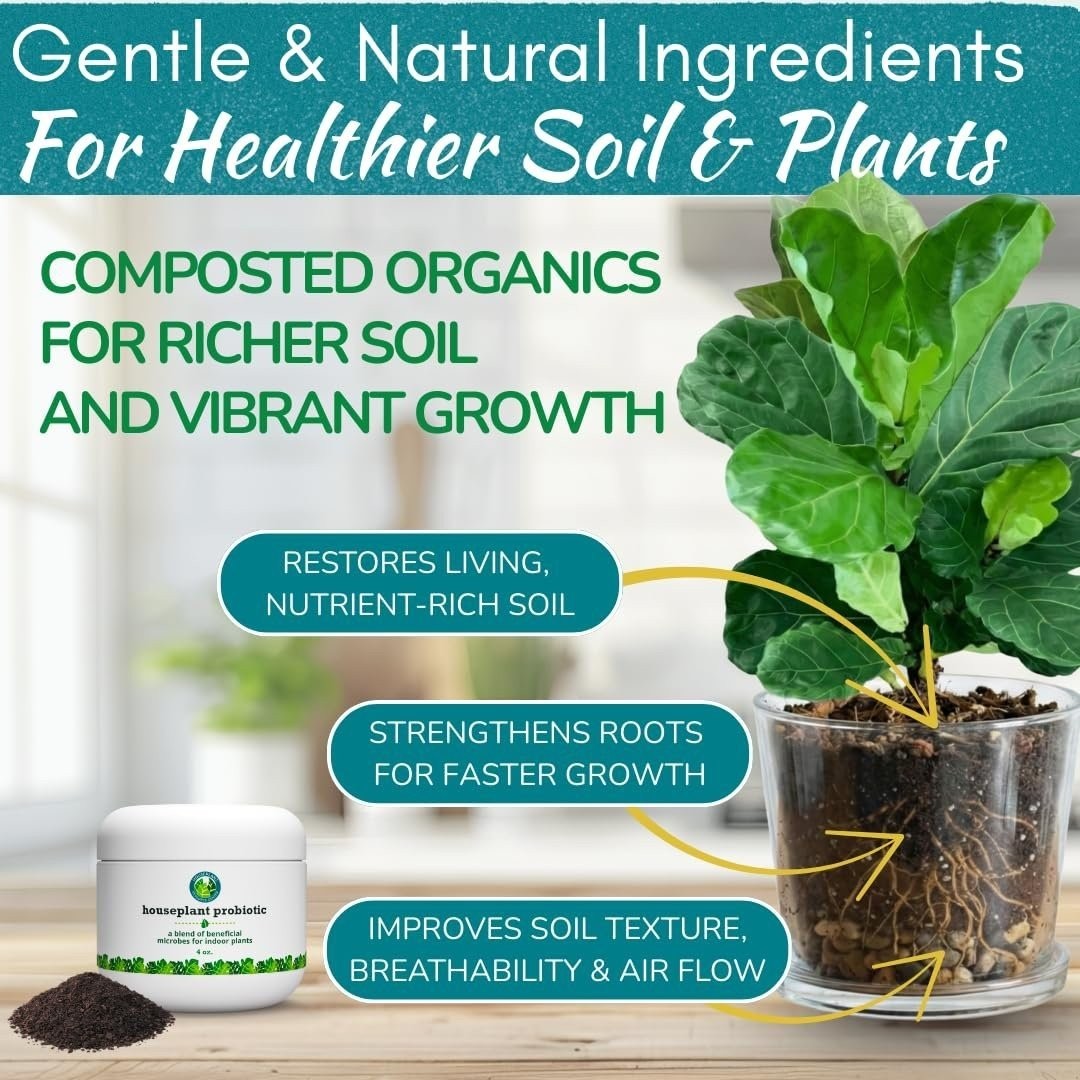 Organic Houseplant Probiotic Powder | Soil Conditioner to Improve Soil…