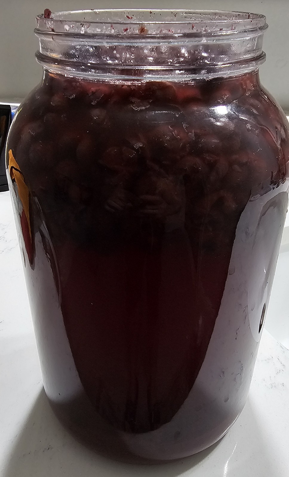 Live Blueberry Vinegar with the “Mother” as Fertilizer & Food Additive 1 L/34 oz