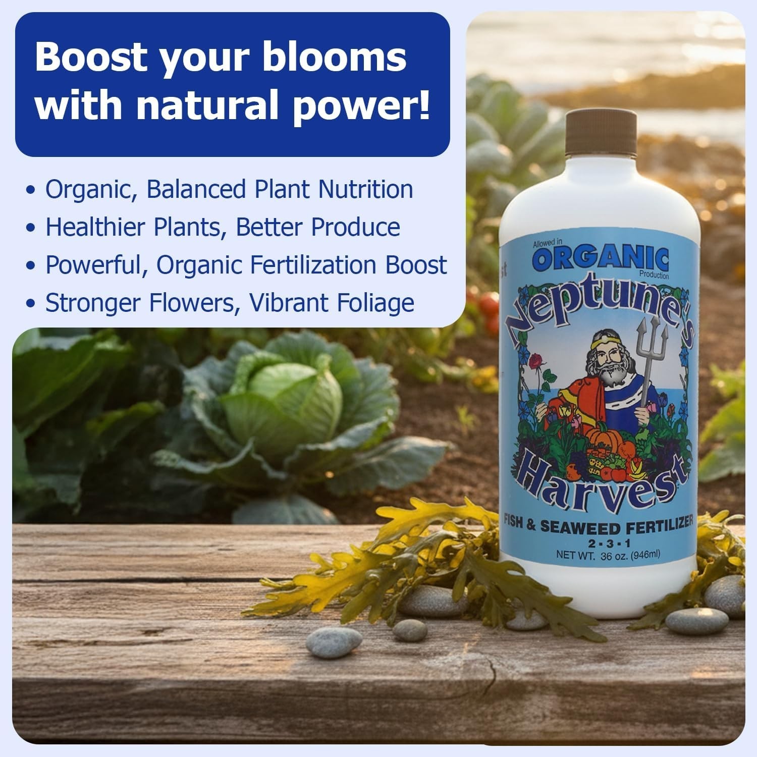 Versatile Liquid Fish & Seaweed Fertilizer 36oz – Enhances Growth & Soil Quality