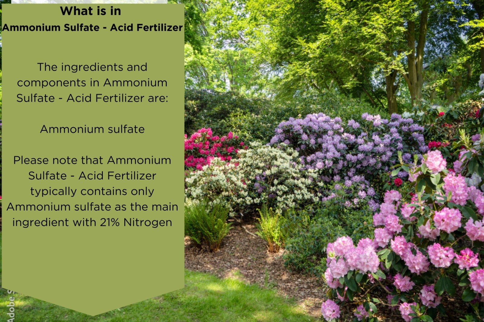 Ammonium Sulfate – Acid Fertilizer by Old Cobblers Farm
