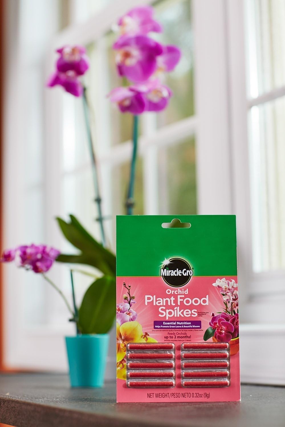 10 Orchid Plant Food Spikes – Feed Beautiful Blooms Effortlessly for 2